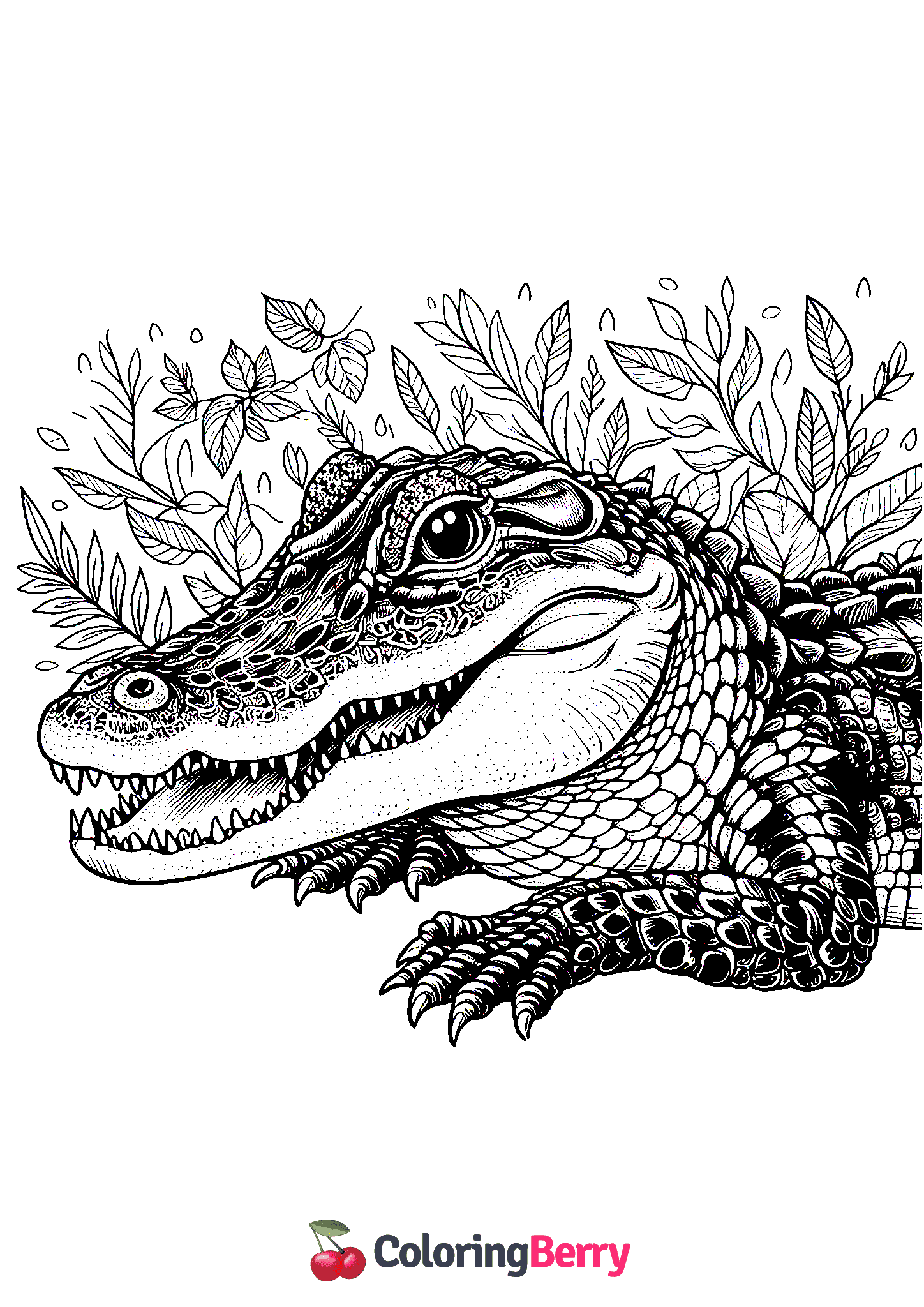 Detailed Alligator