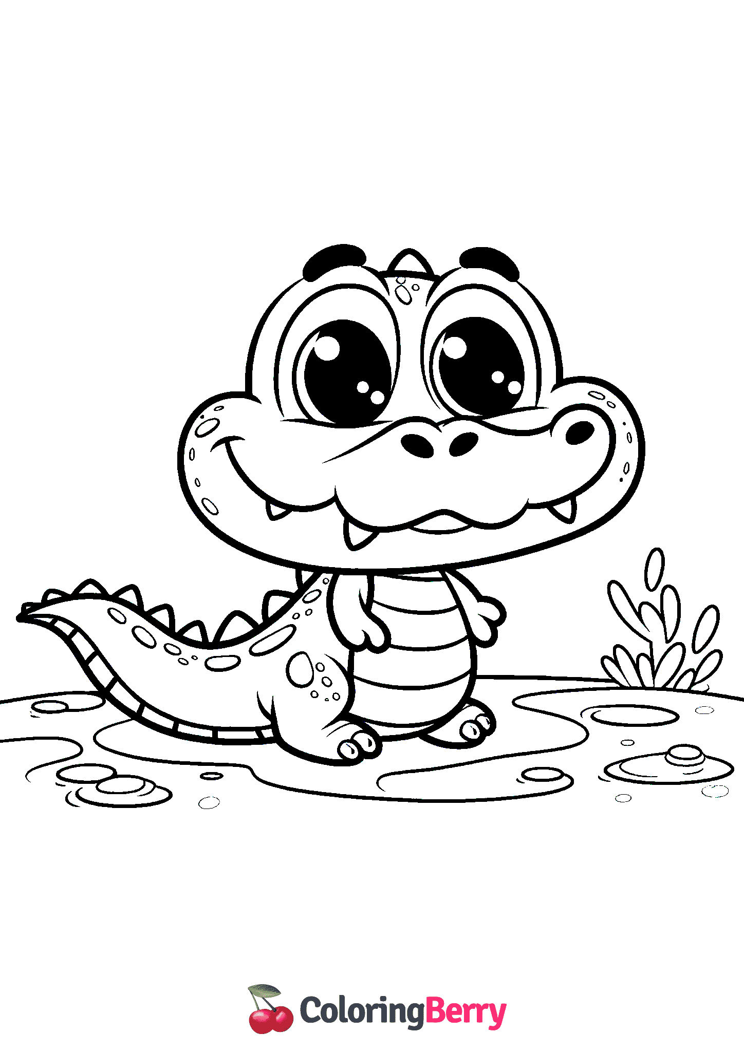 Funny Crocodile