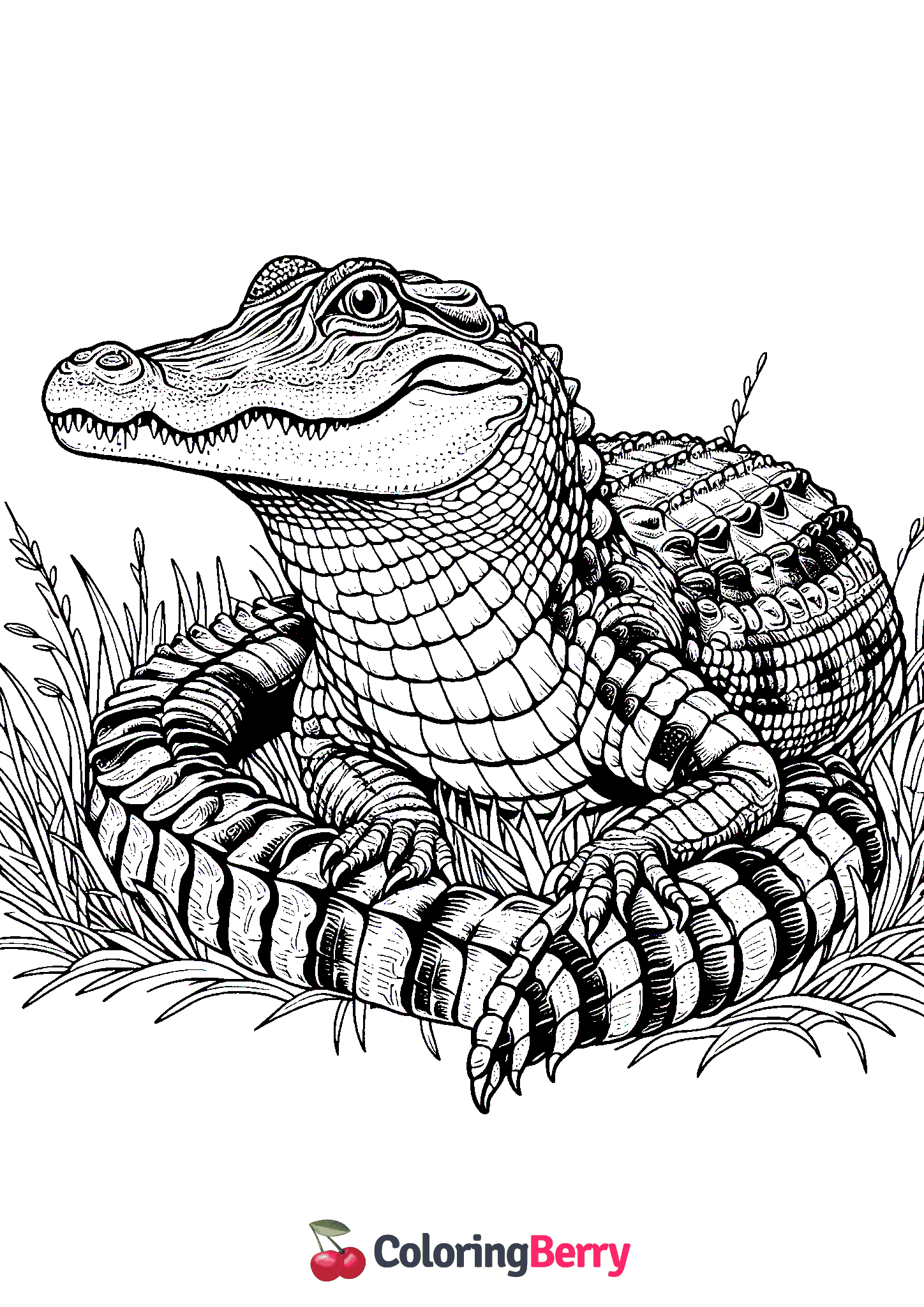 Hard Alligator