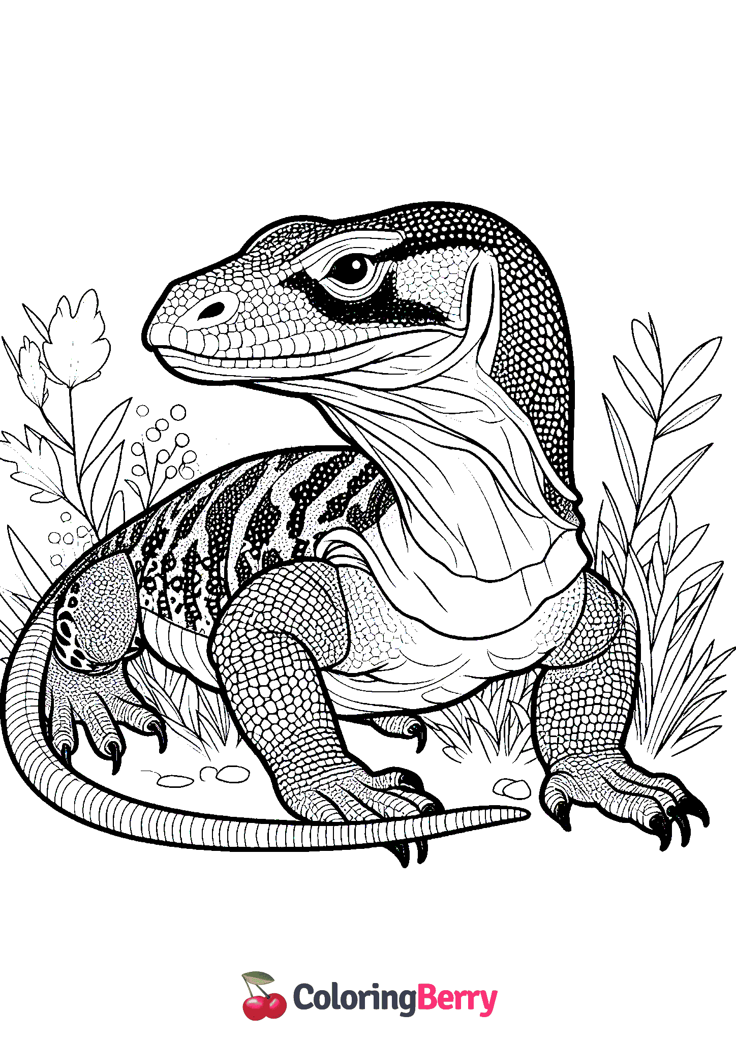 Komodo Dragon