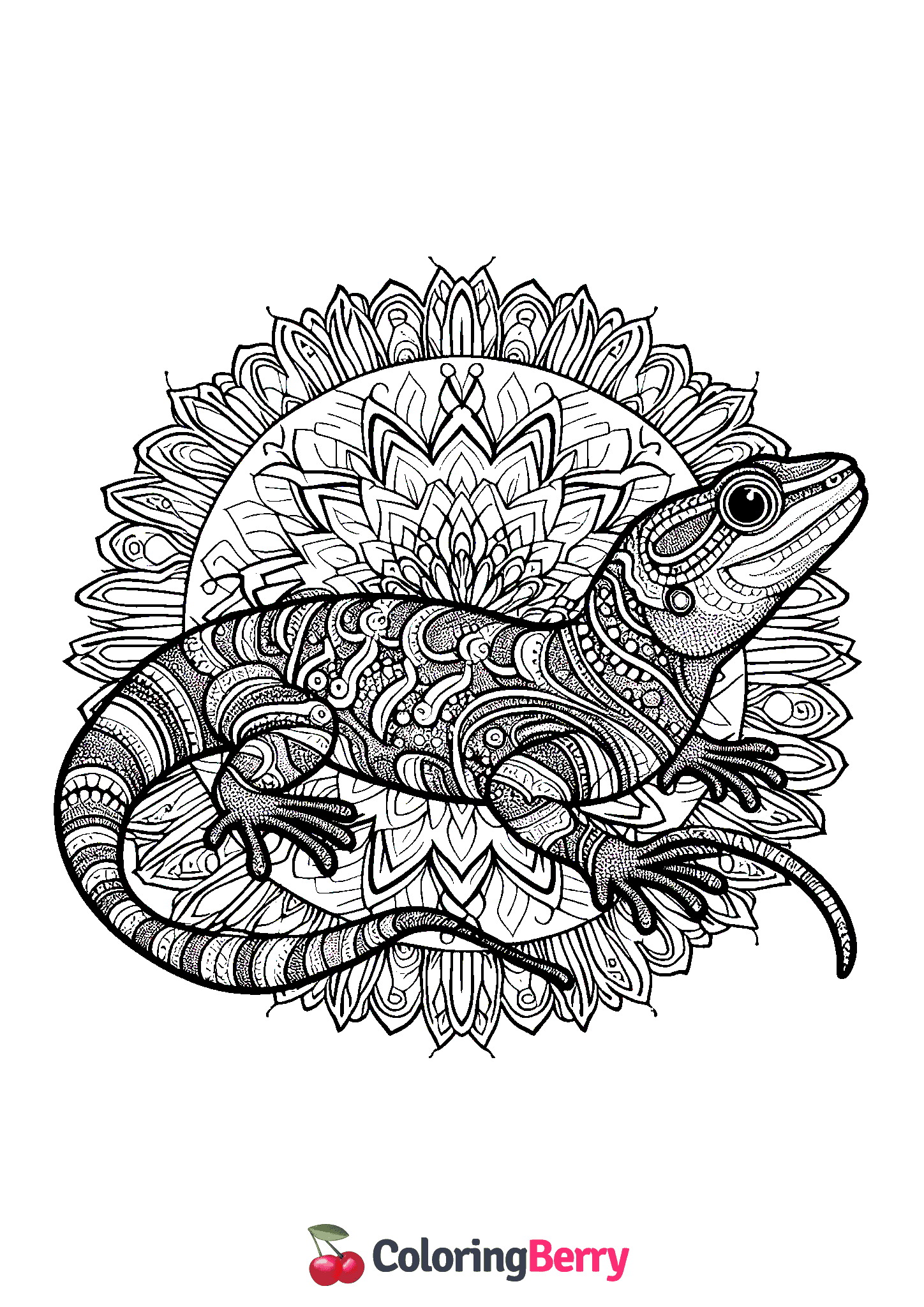 Mandala Lizard