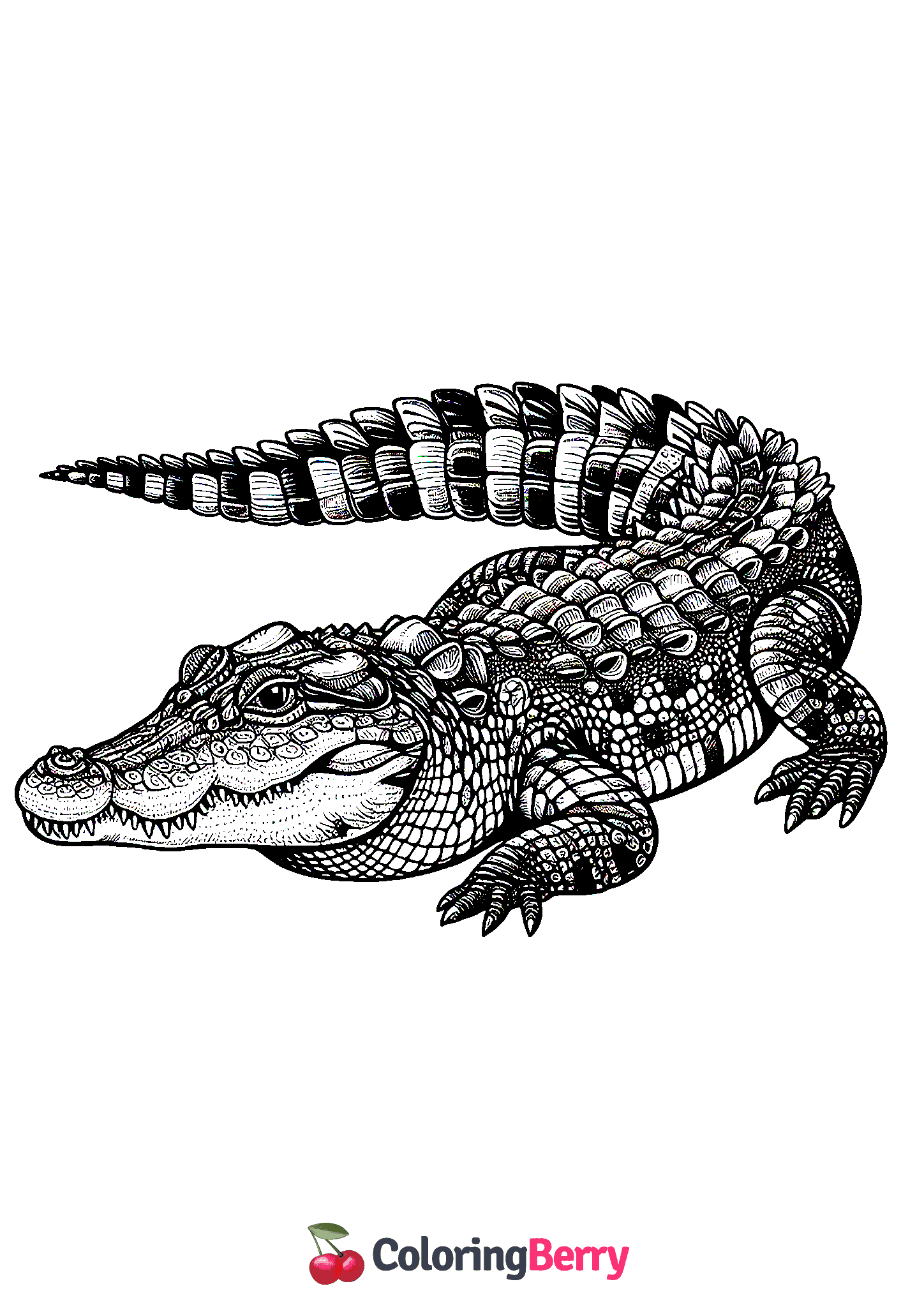 Realistic Crocodile