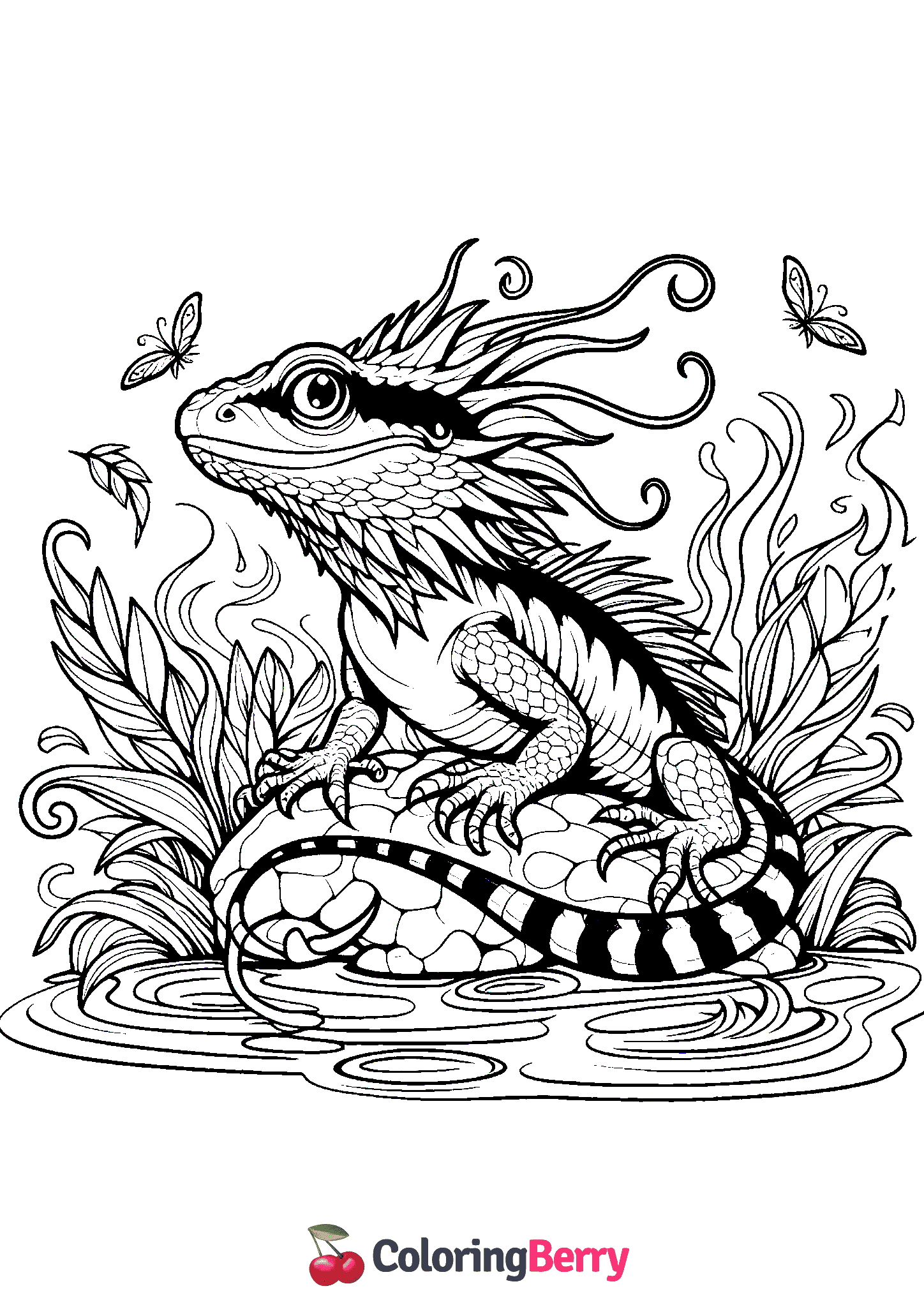 Water Dragon Lizard