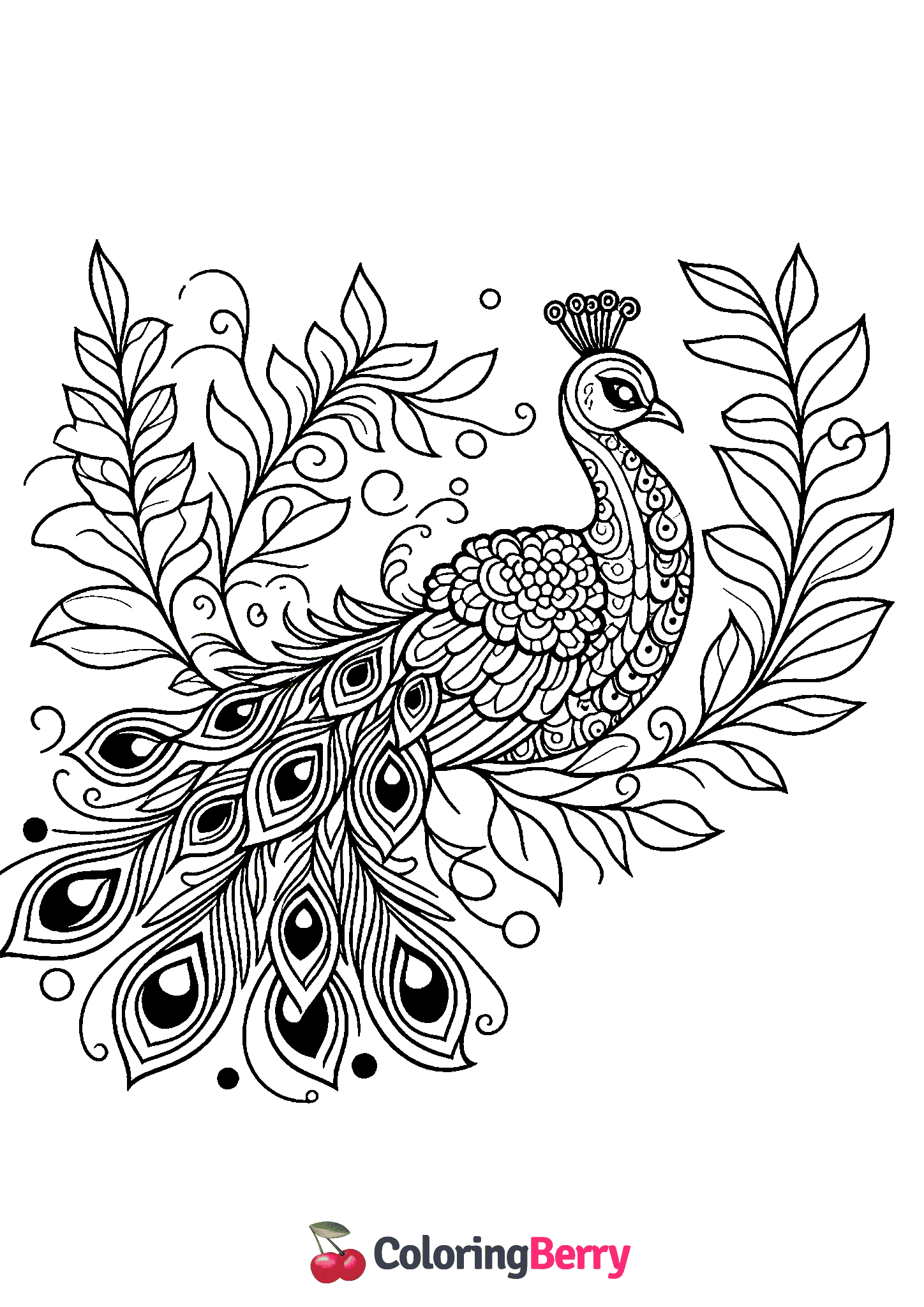 Advanced Peacock
