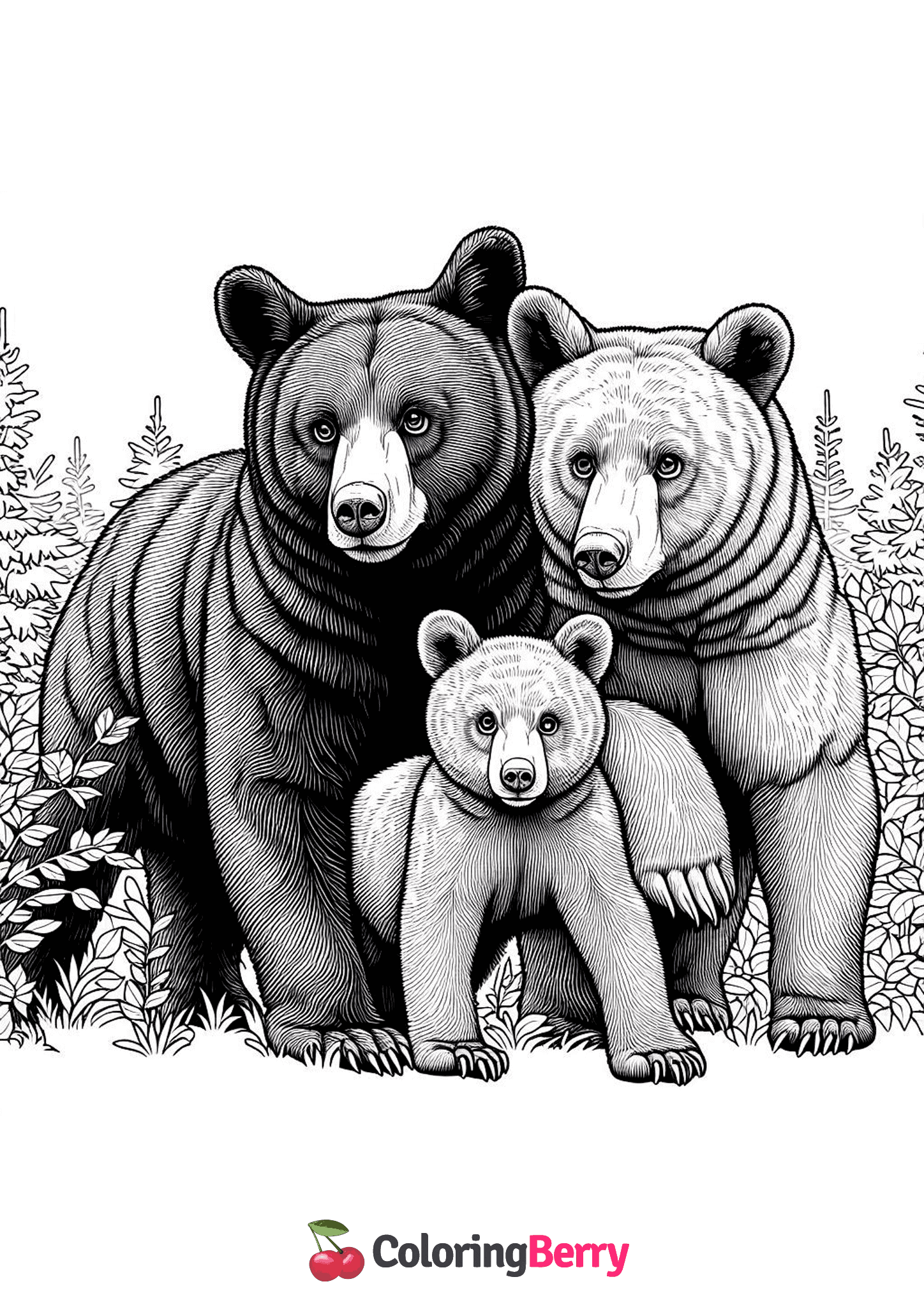 American Black Bear Family