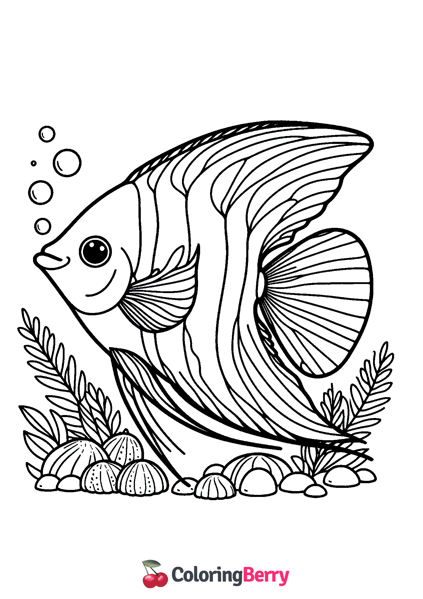 Angelfish