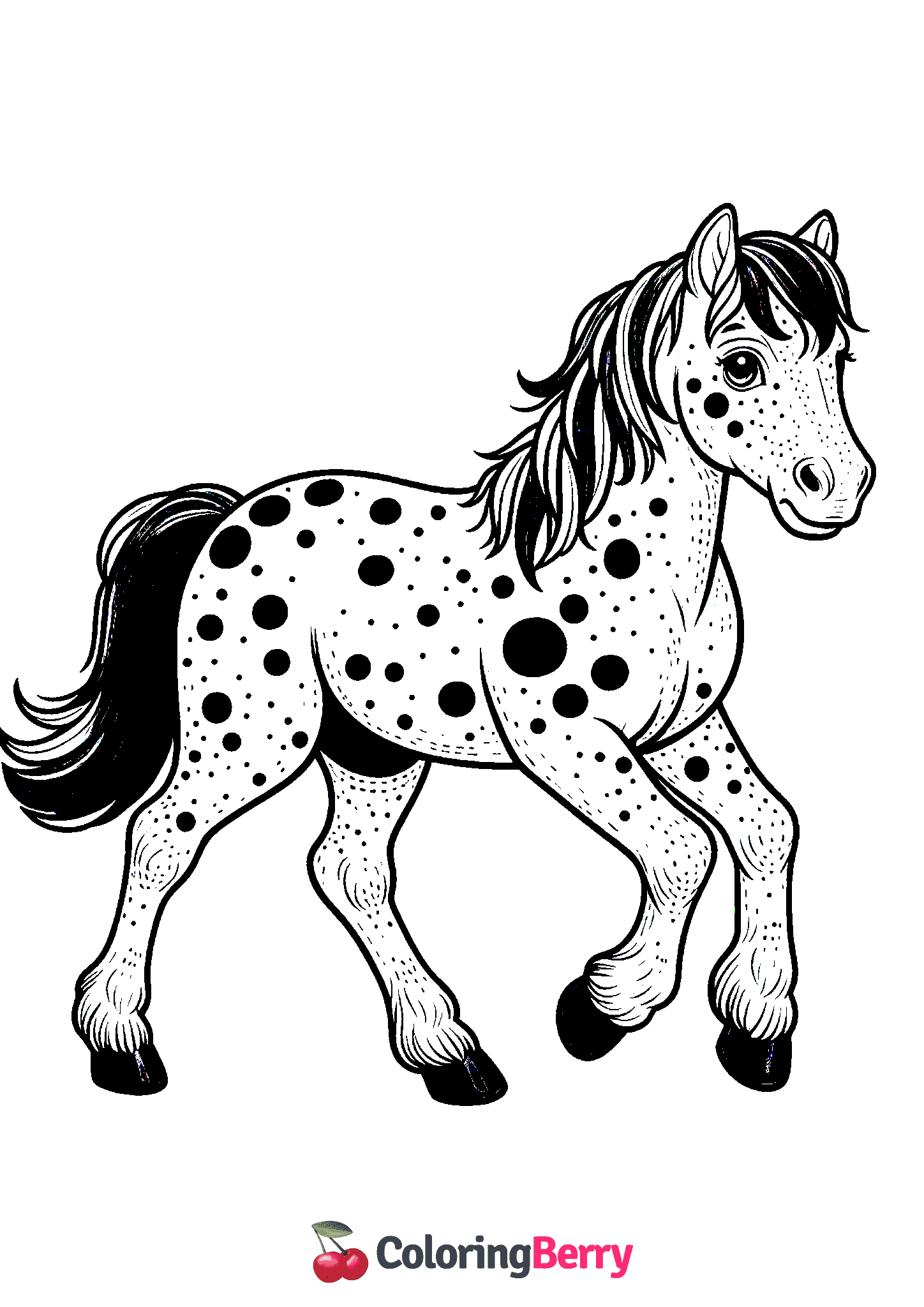 Appaloosa