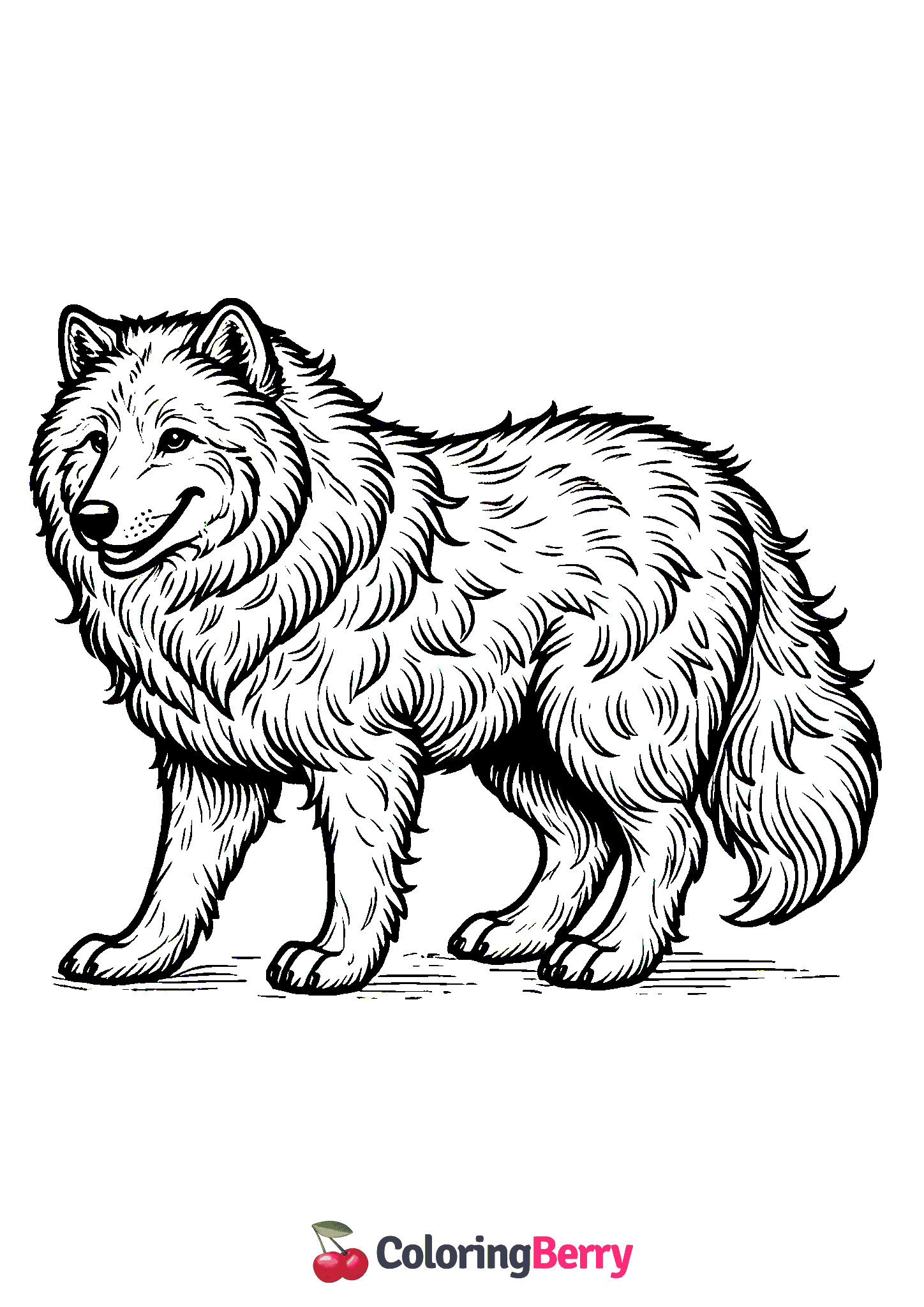 Arctic Wolf