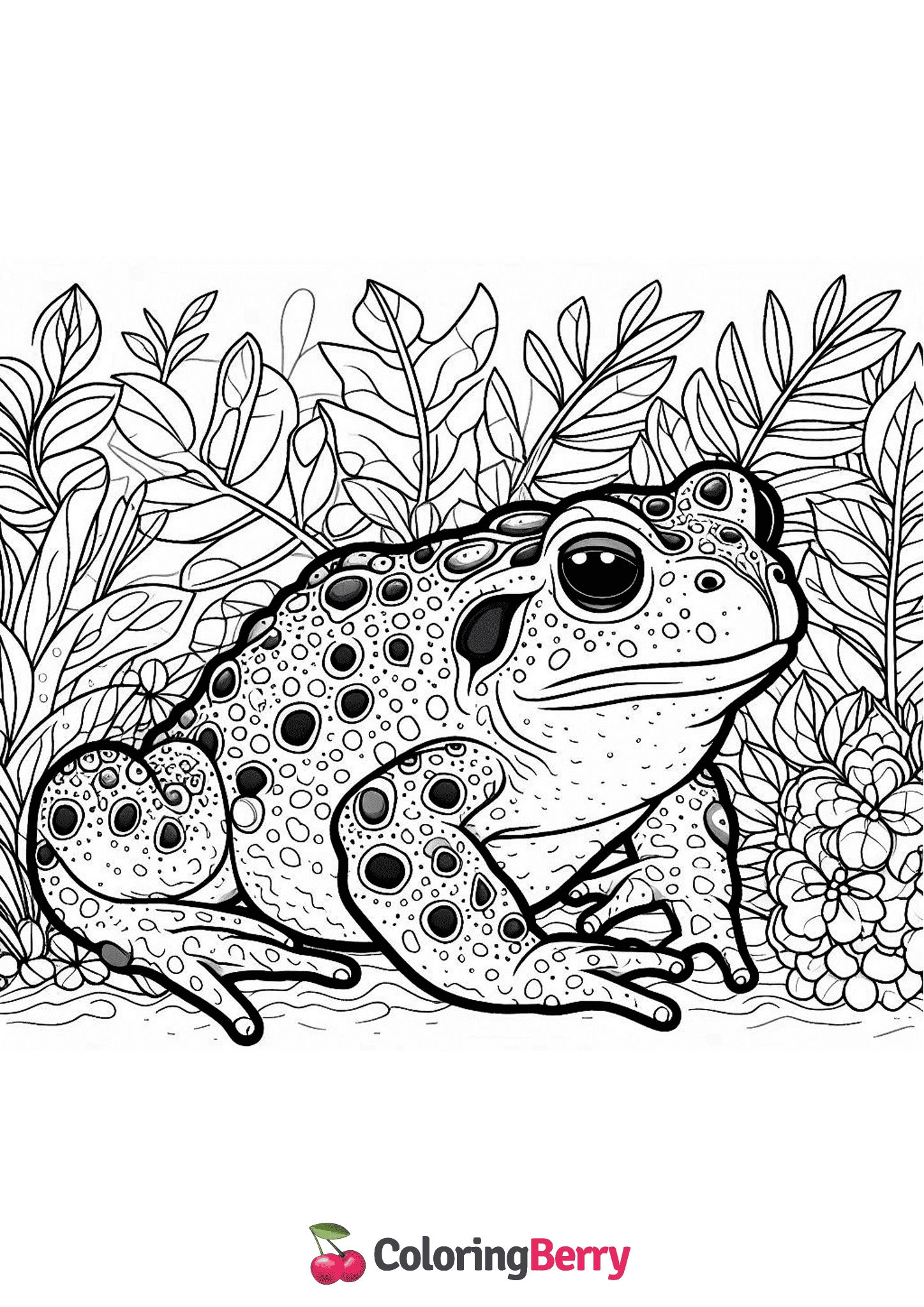 Asiatic Toad