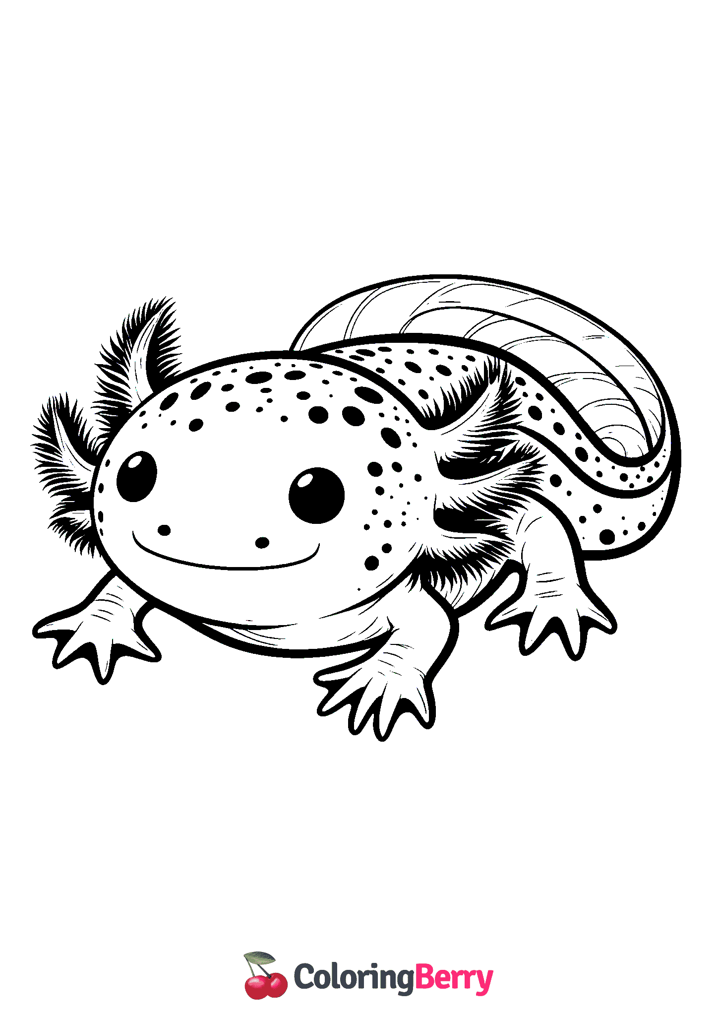Axolotl
