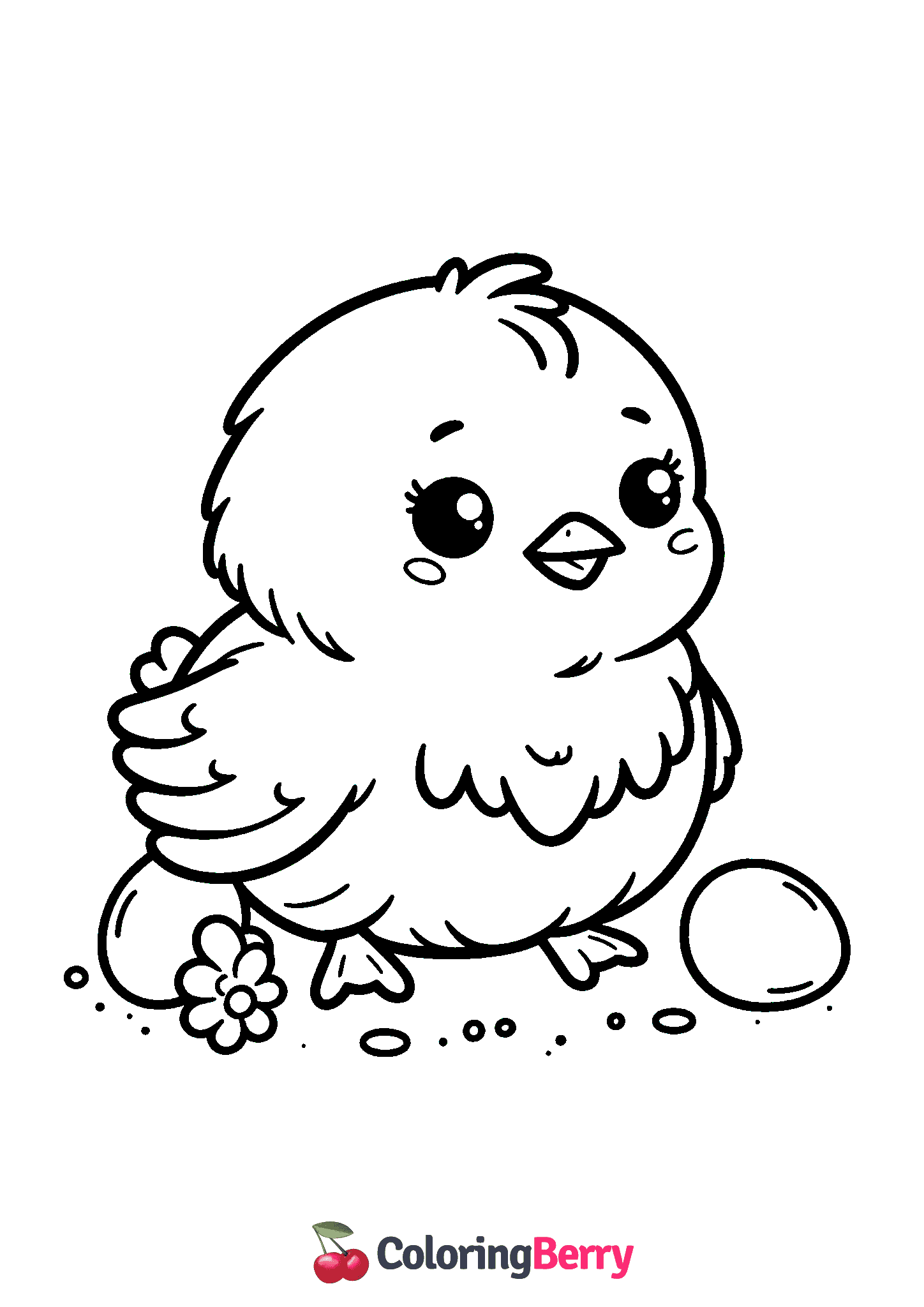 Baby Chick