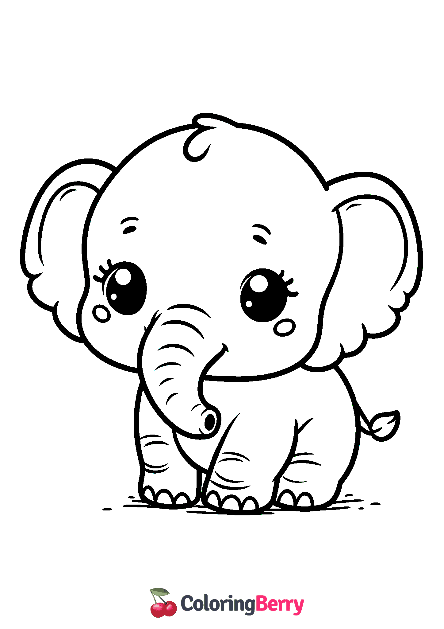 Baby Elephant