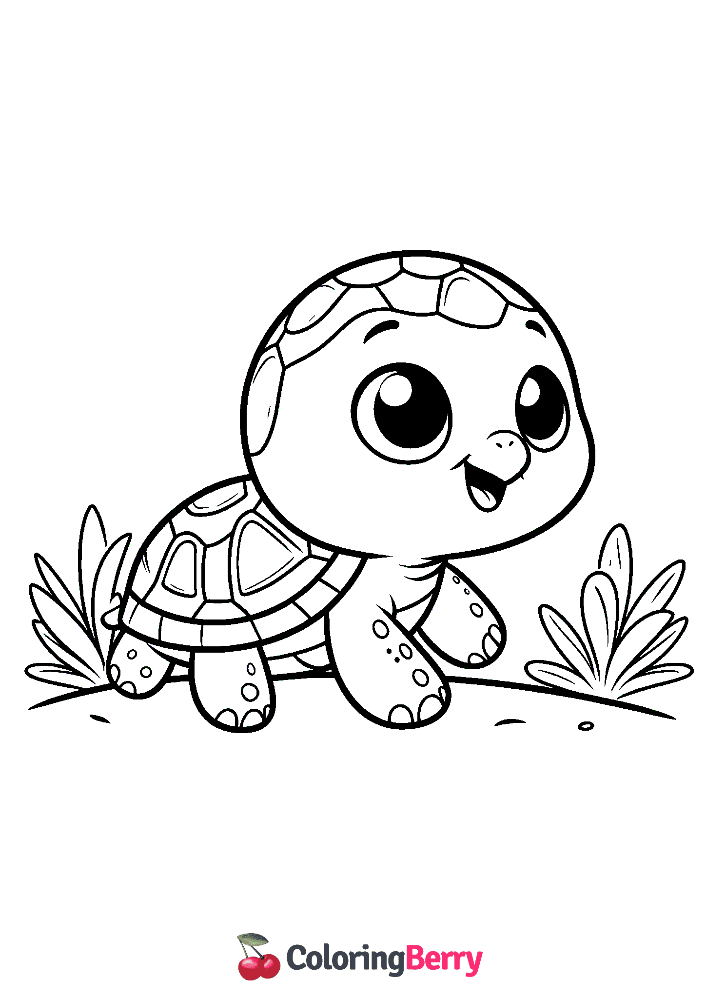 Baby Turtle