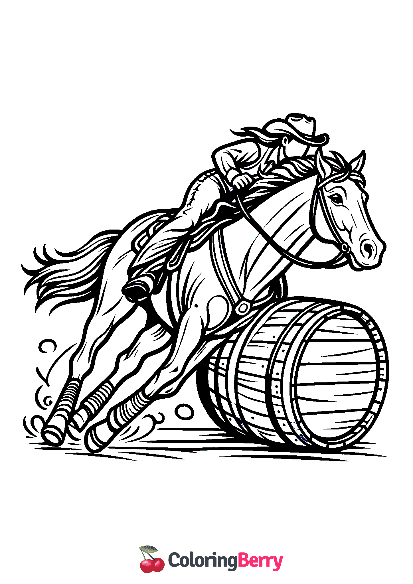 Barrel Racing Horse