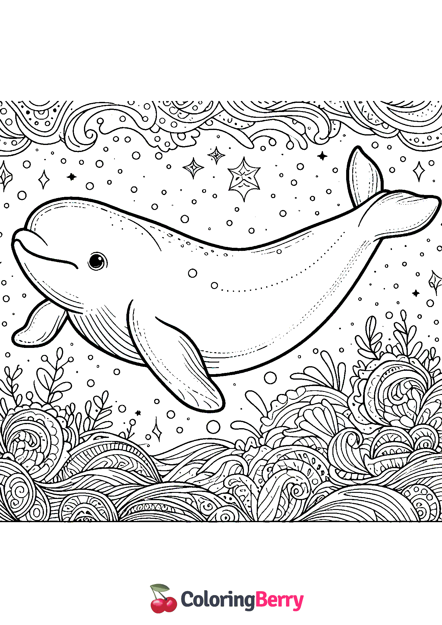 Beluga Whale