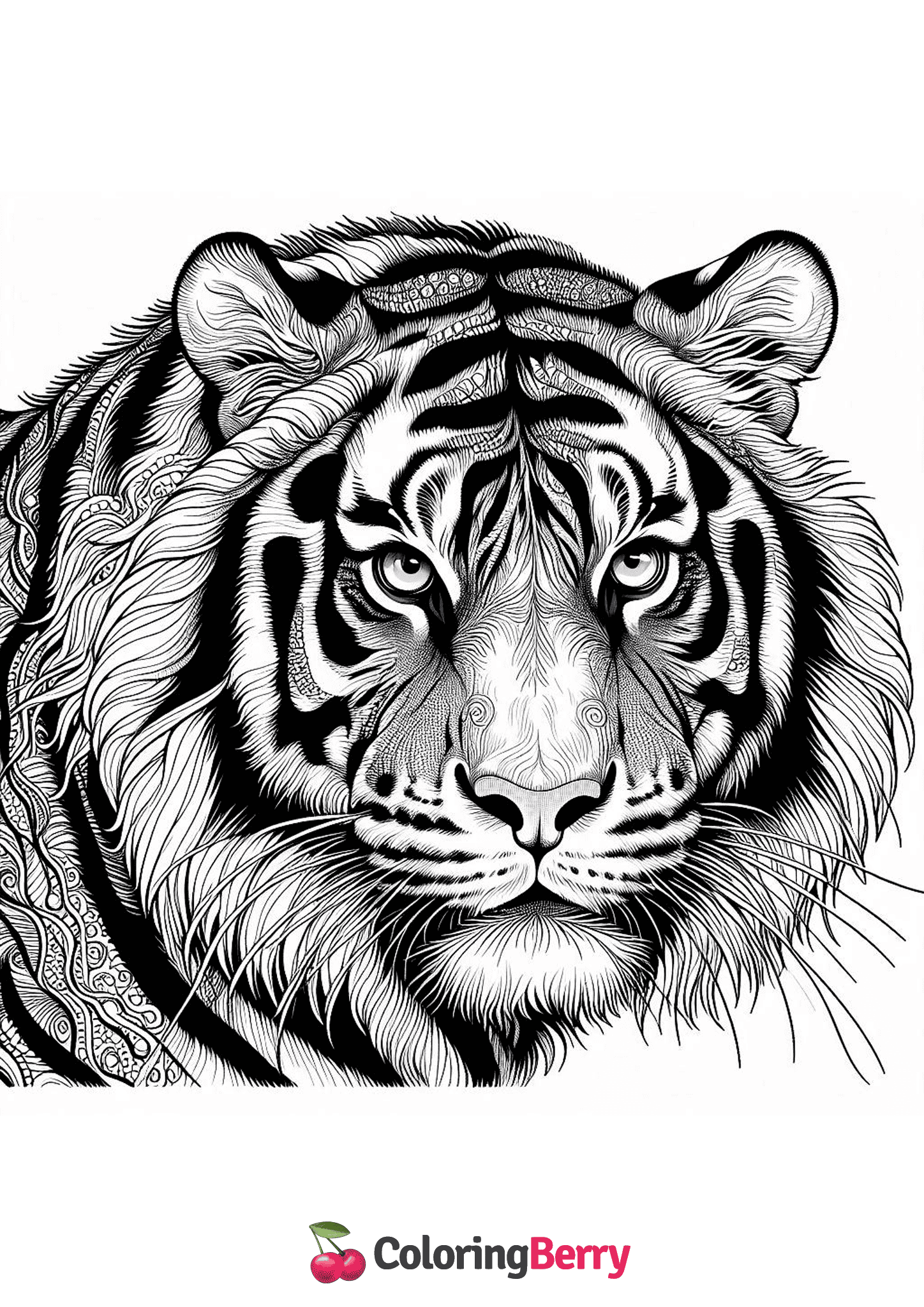 Bengal Tiger
