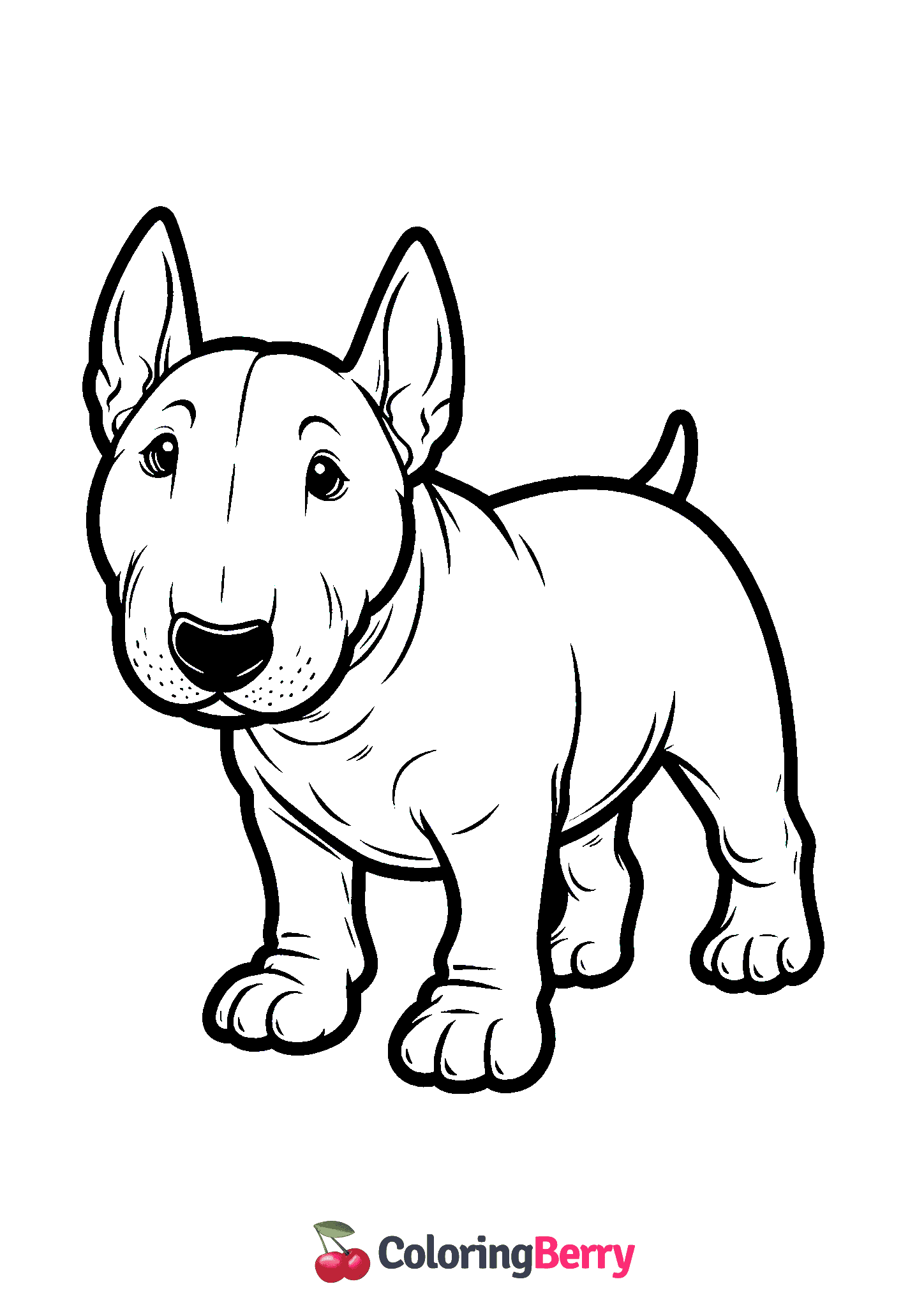 Bull Terrier