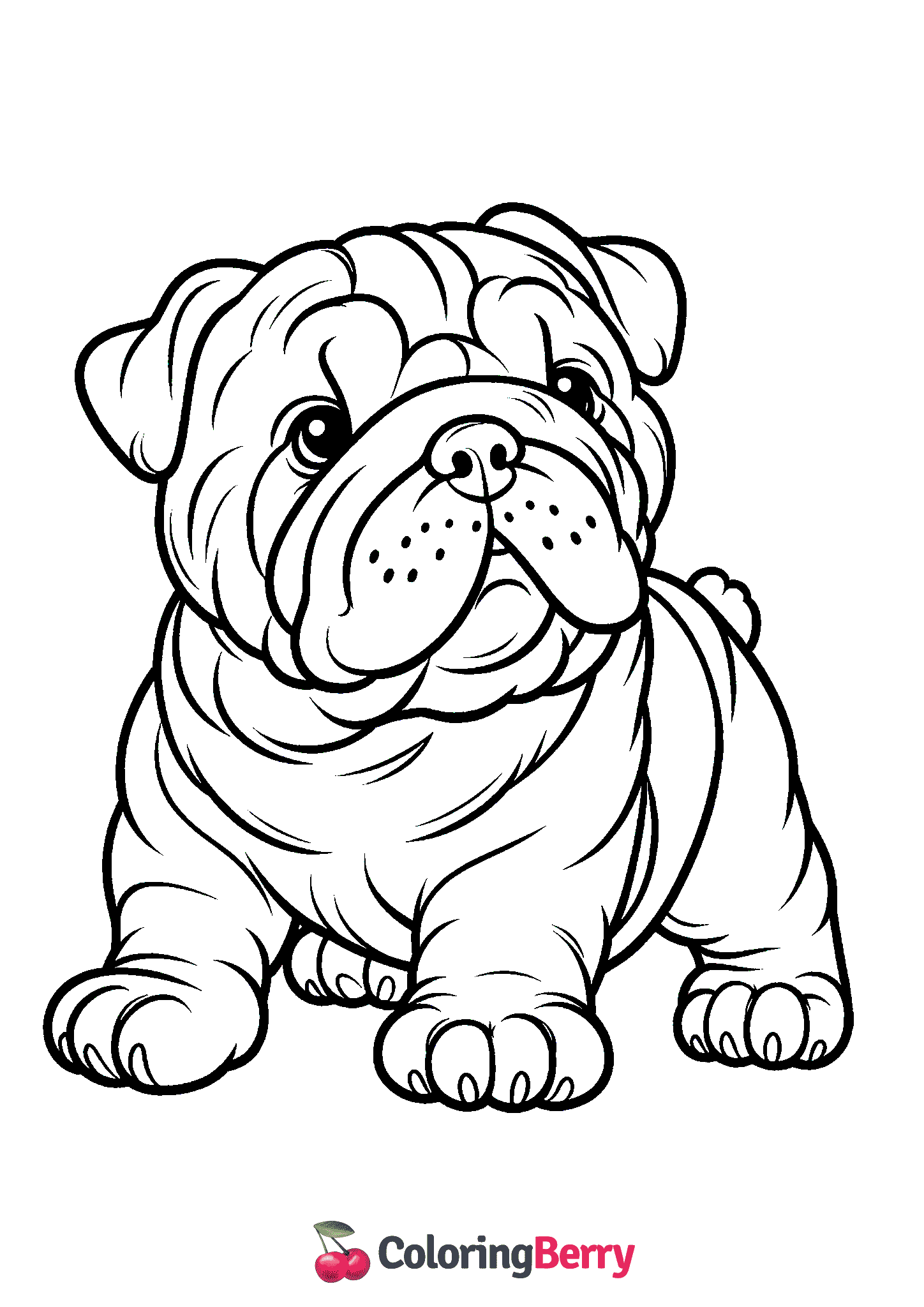 Bulldog
