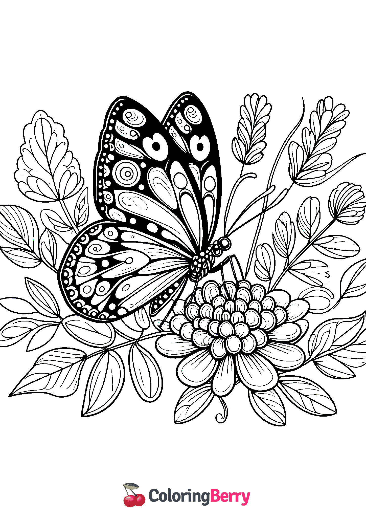 Butterflies and Flowers