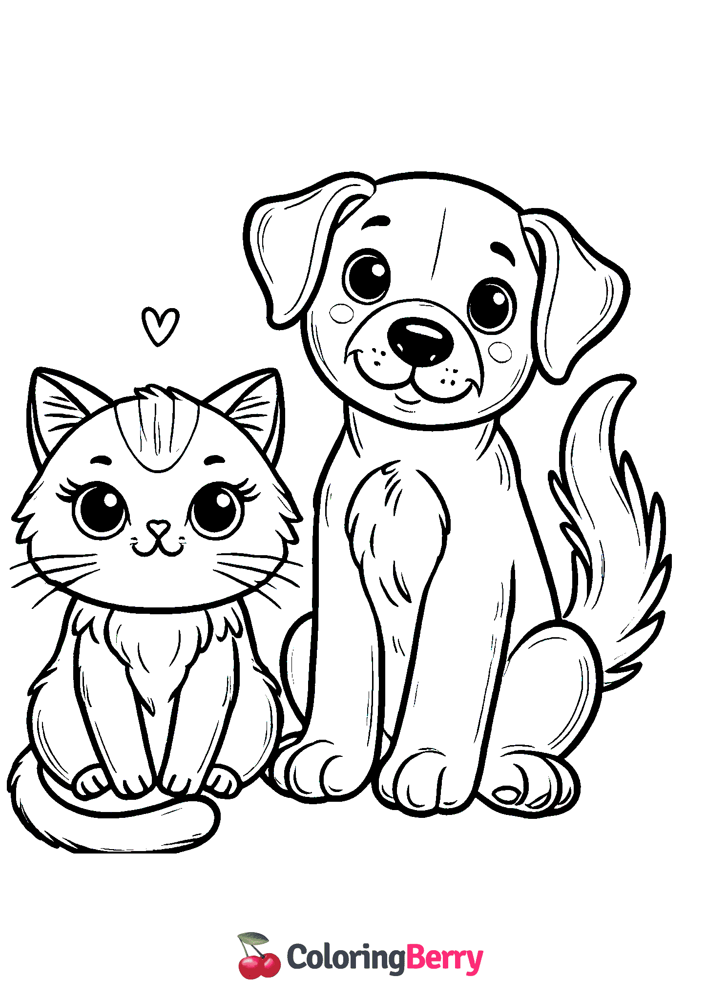 Cat and Dog