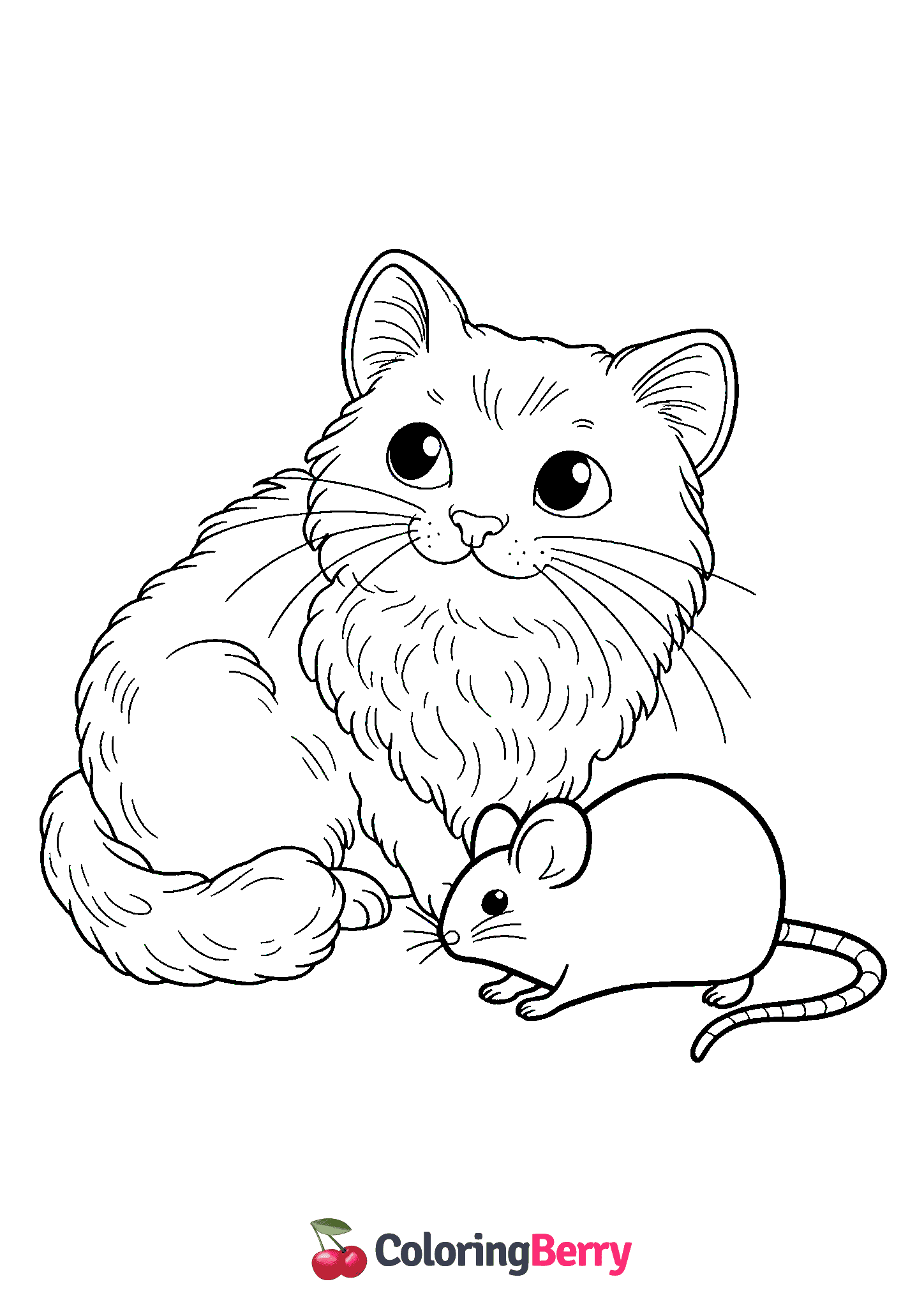 Cat and Mouse