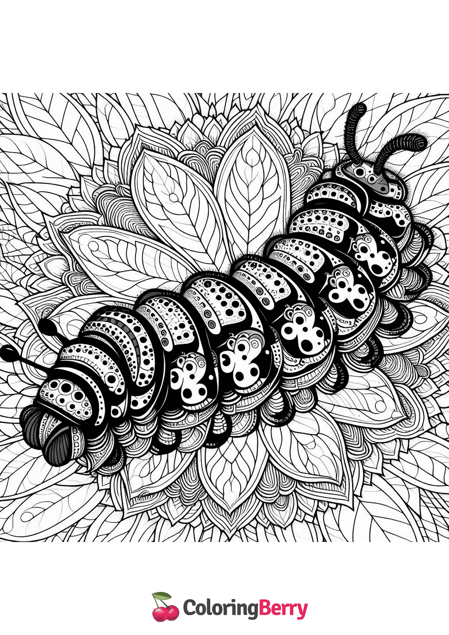 Caterpillar Mandala