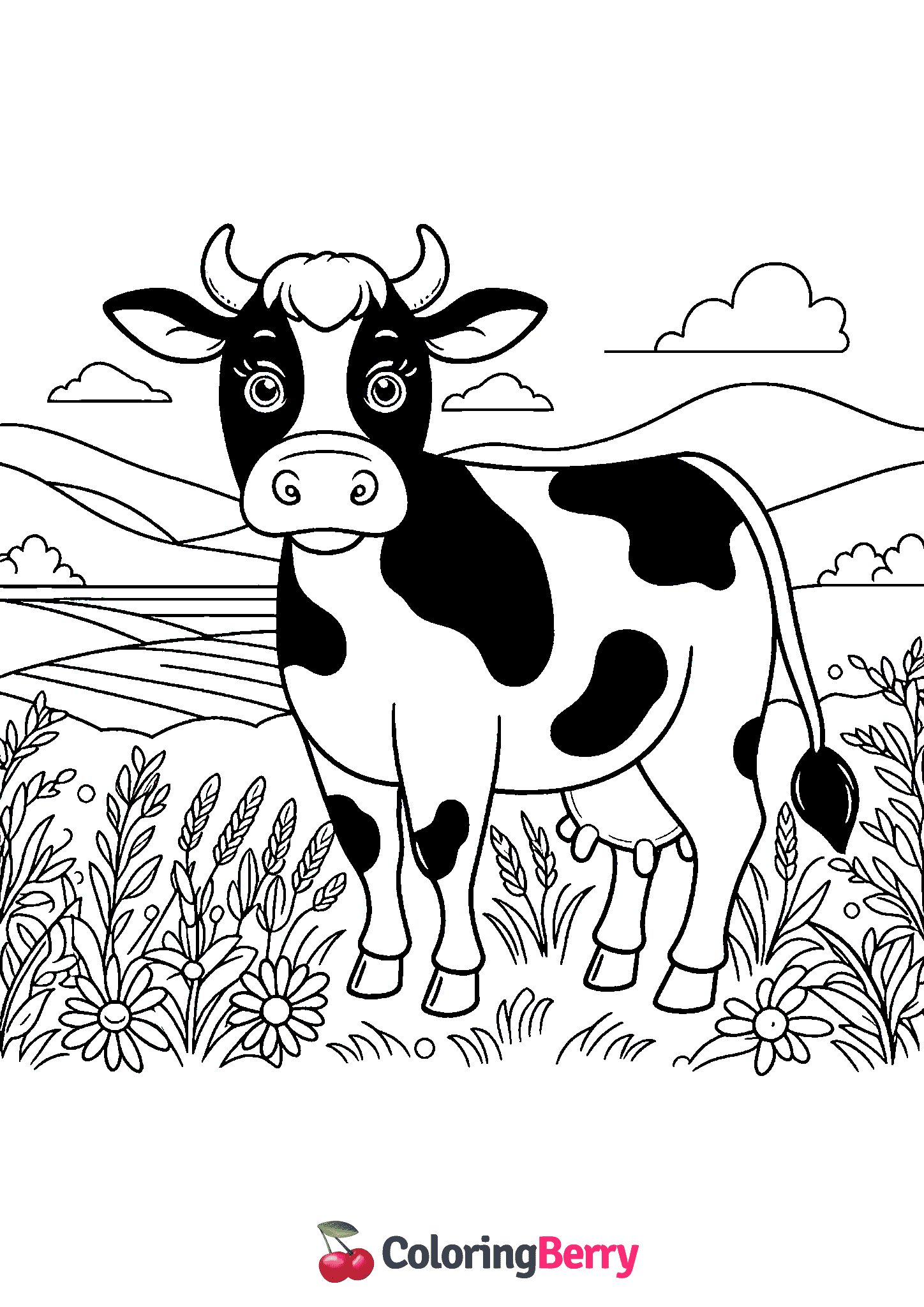 Cattle Cow