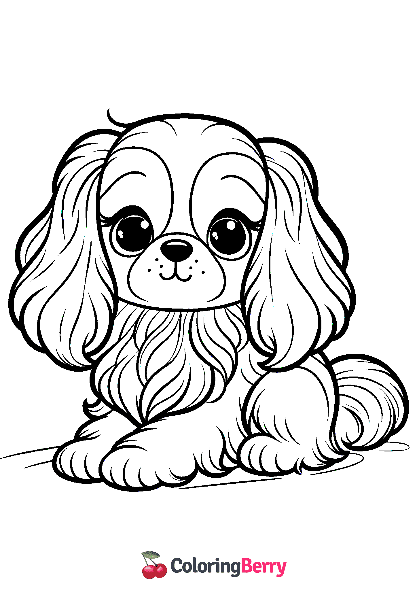 Cavalier King Charles Spaniel