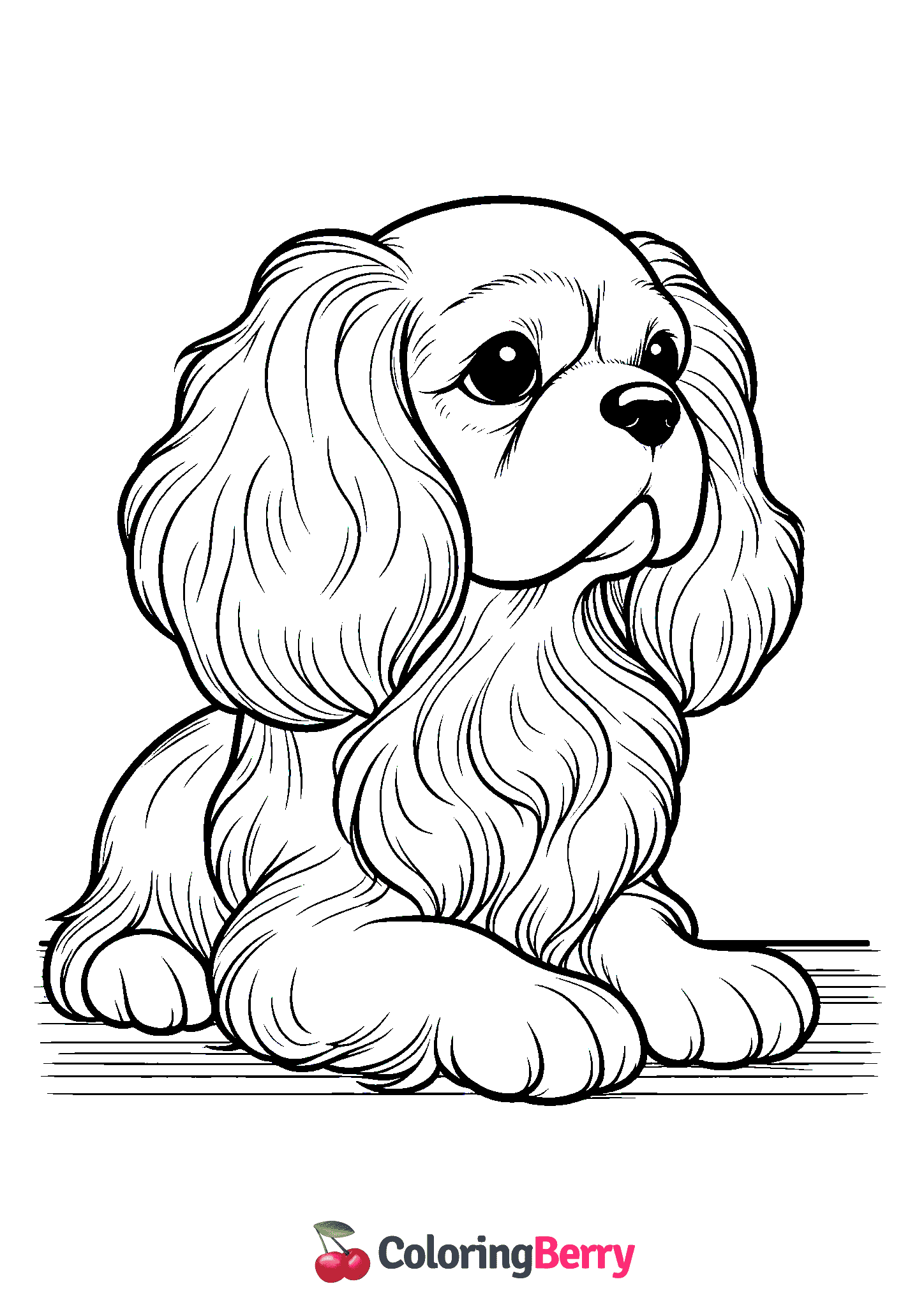 Cavalier King Charles