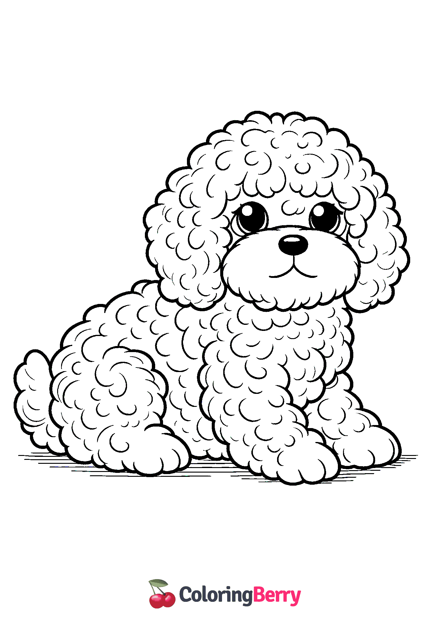 Cavapoo