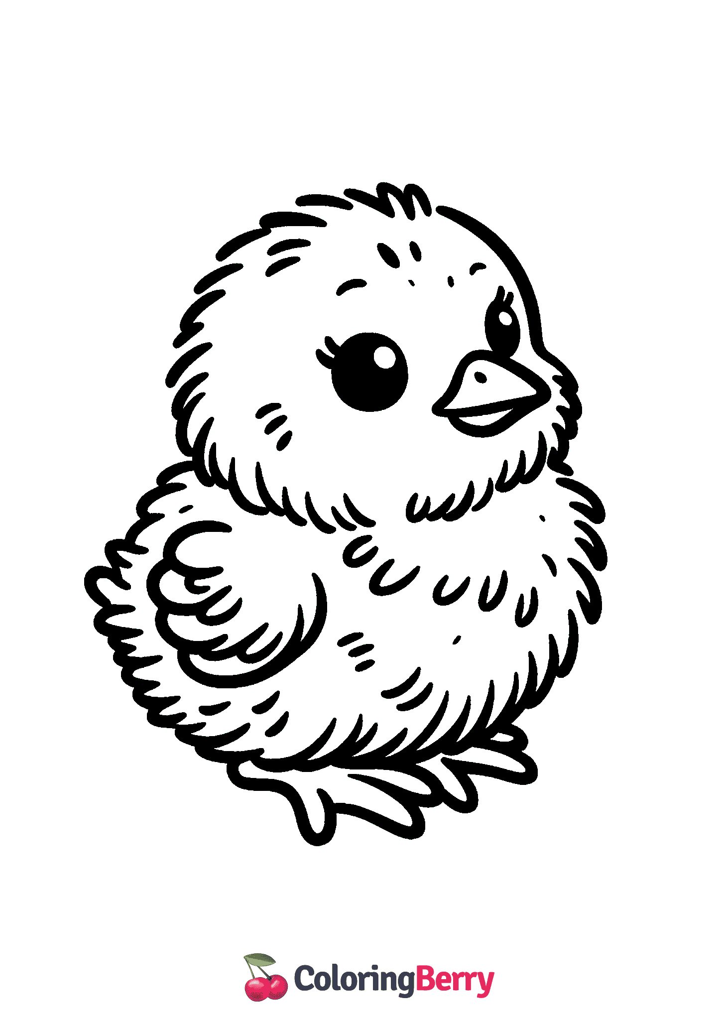 Chick
