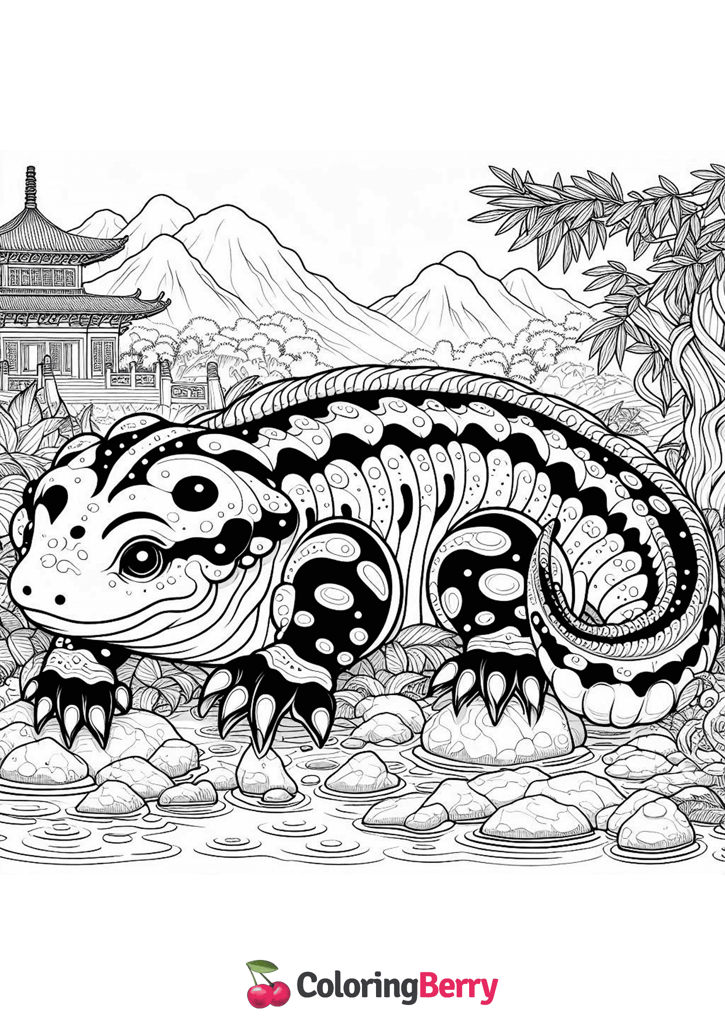 Chinese Giant Salamander