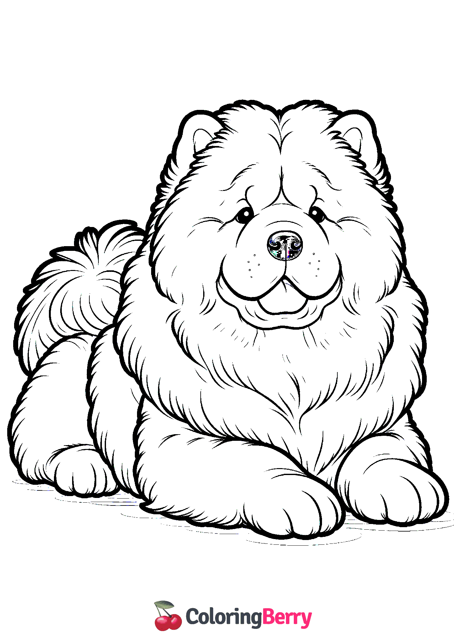 Chow Chow