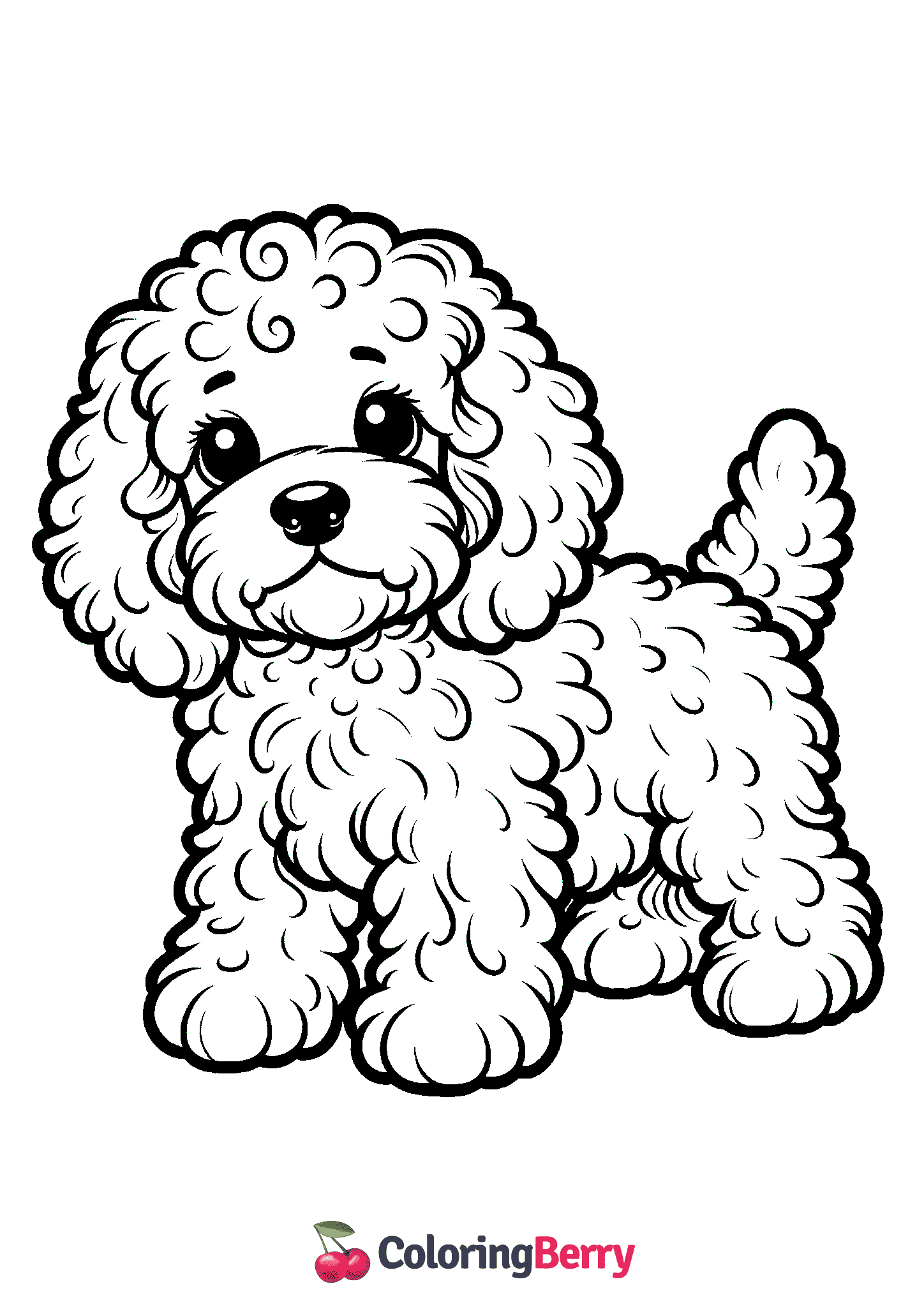 Cockapoo