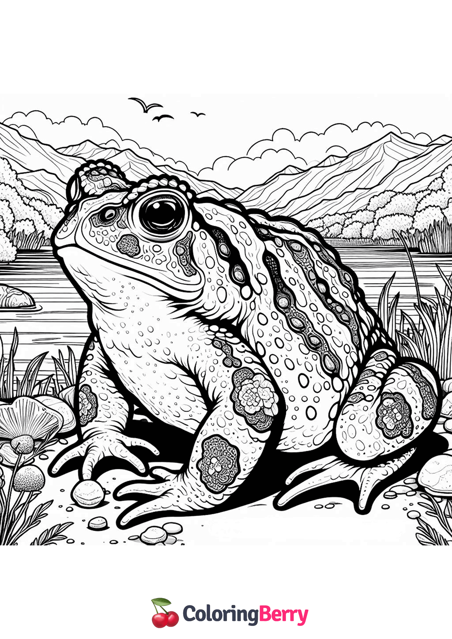 Colorado River Toad