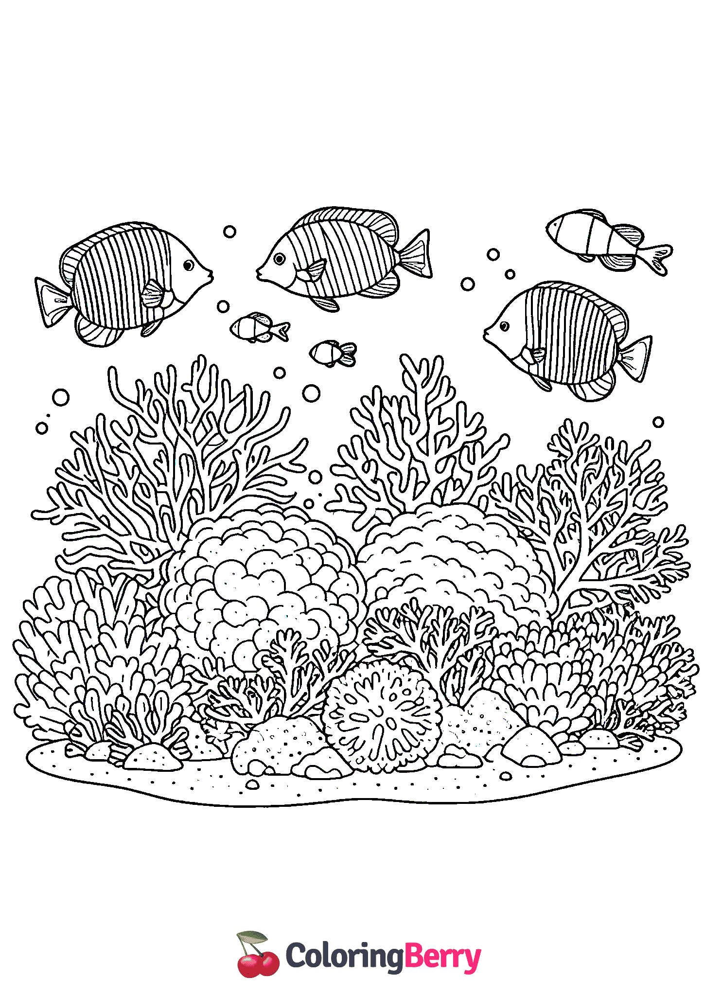 Coral Reef Fish