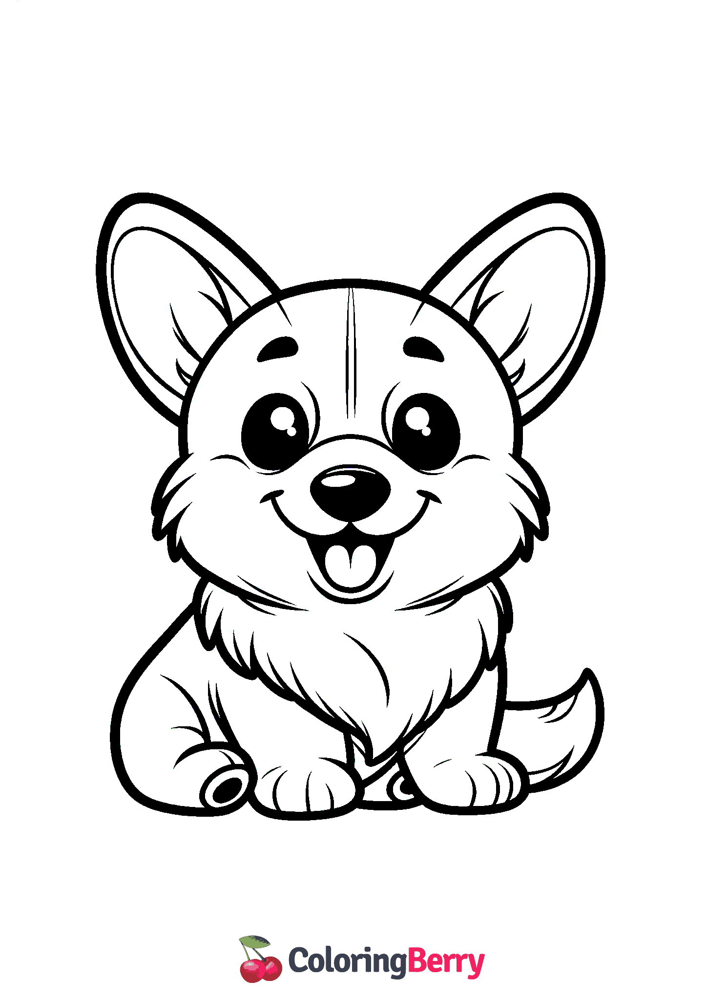 Corgi Dog