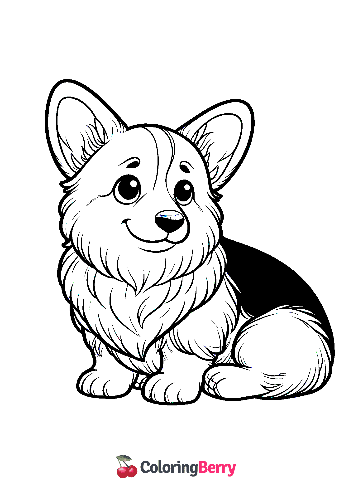 Corgi