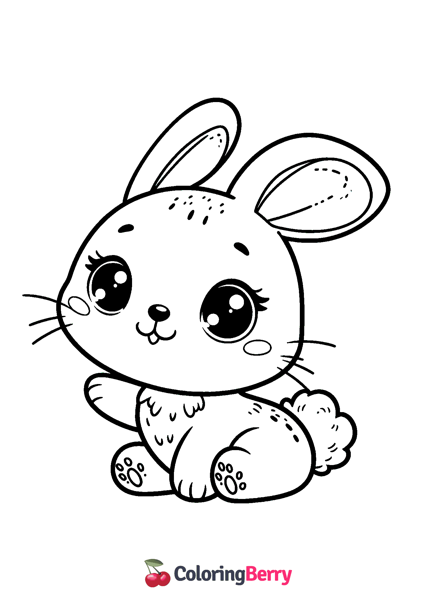 Cute Bunny