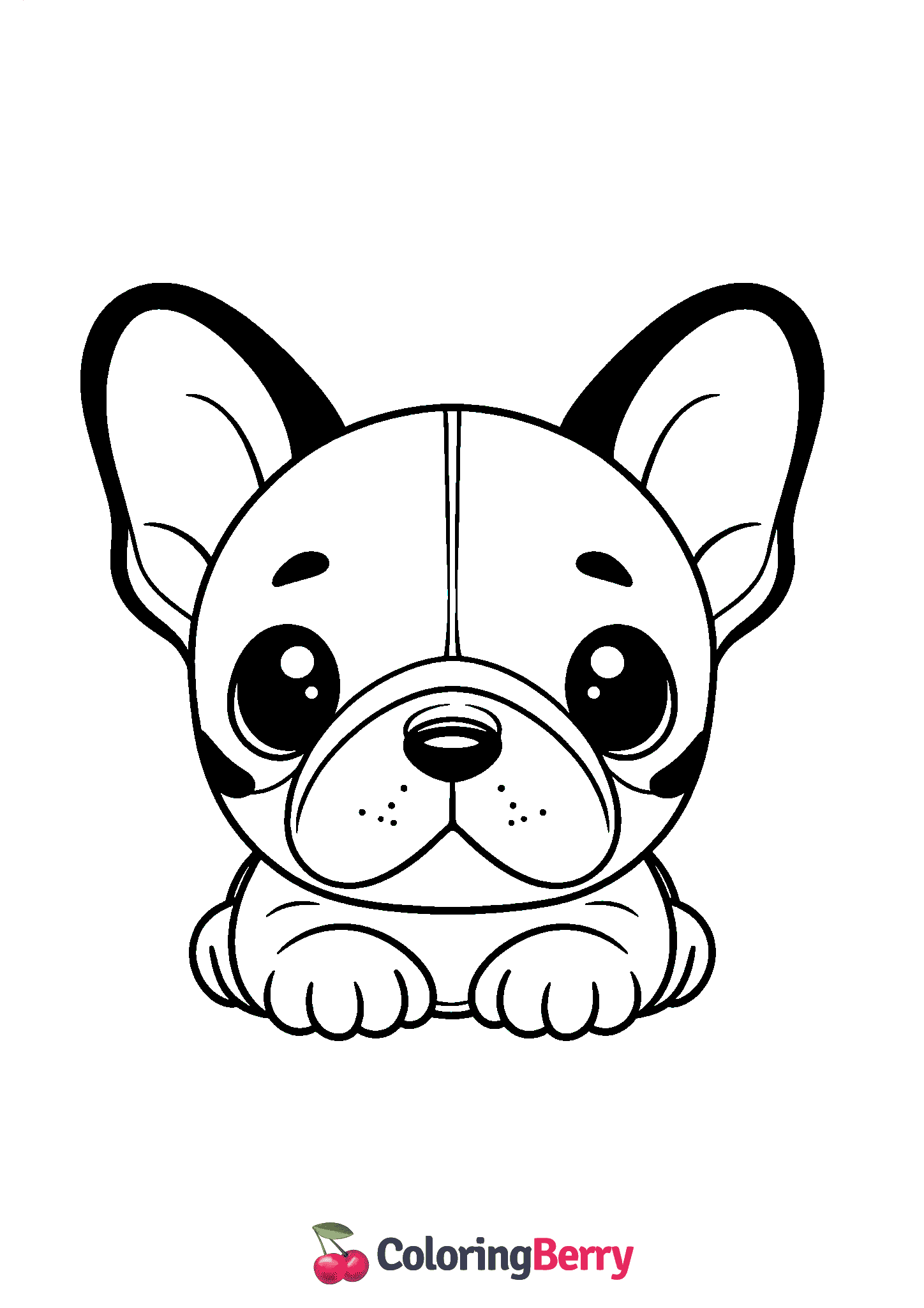 Cute French Bulldog