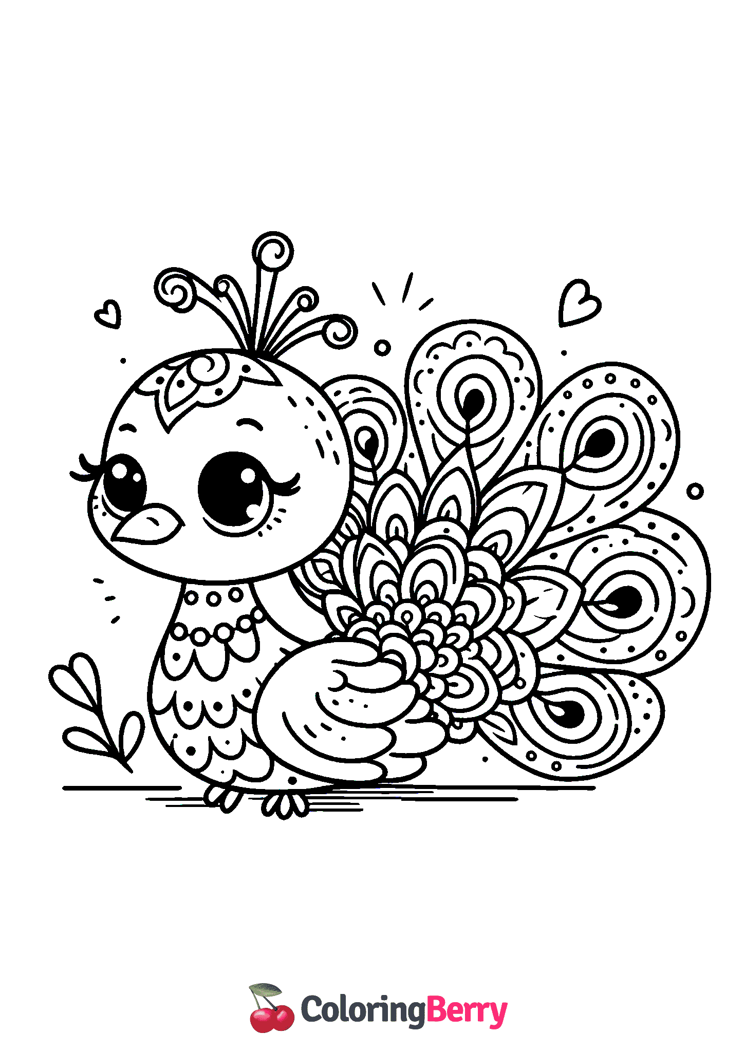 Cute Peacock