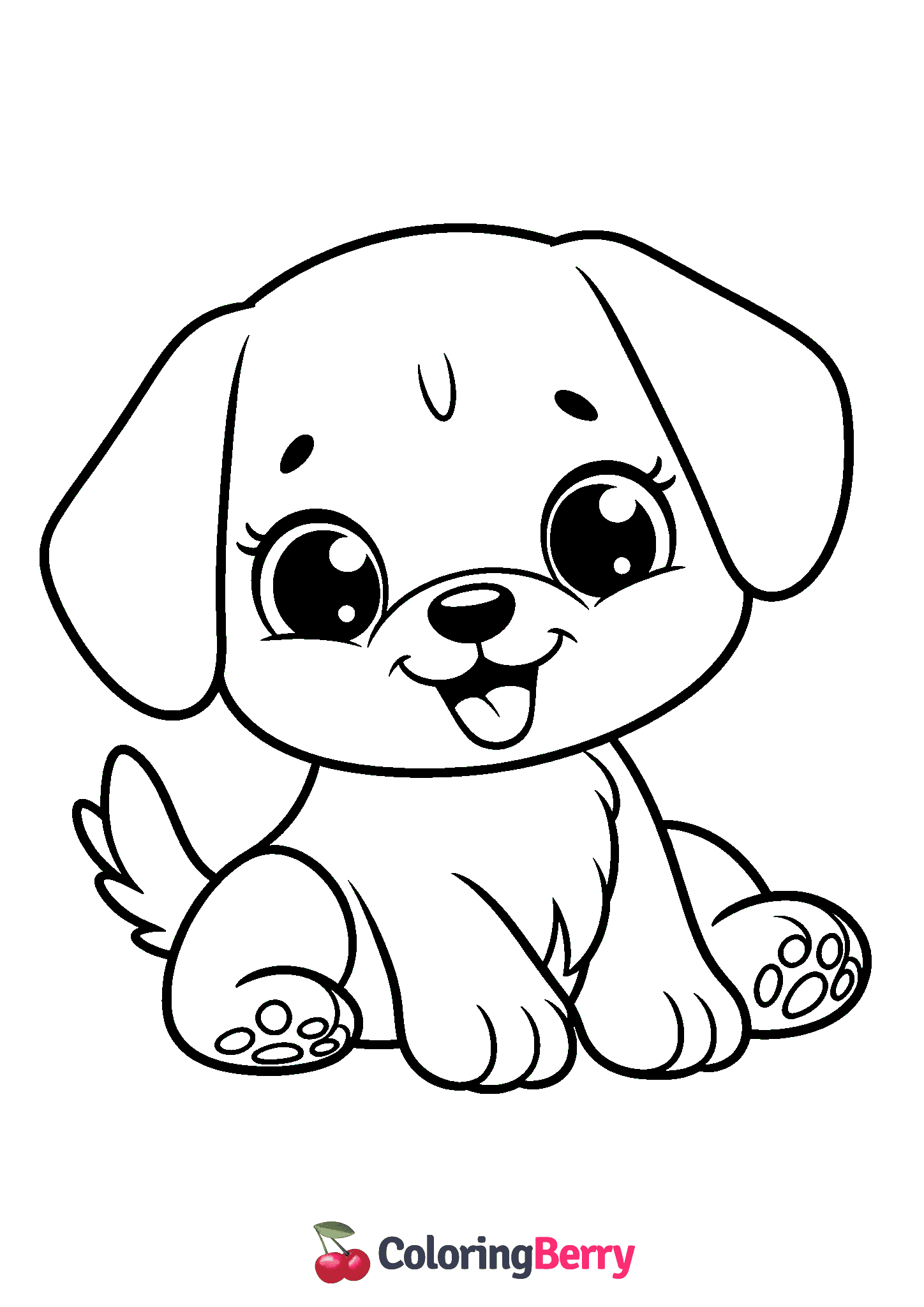 Cute Puppy