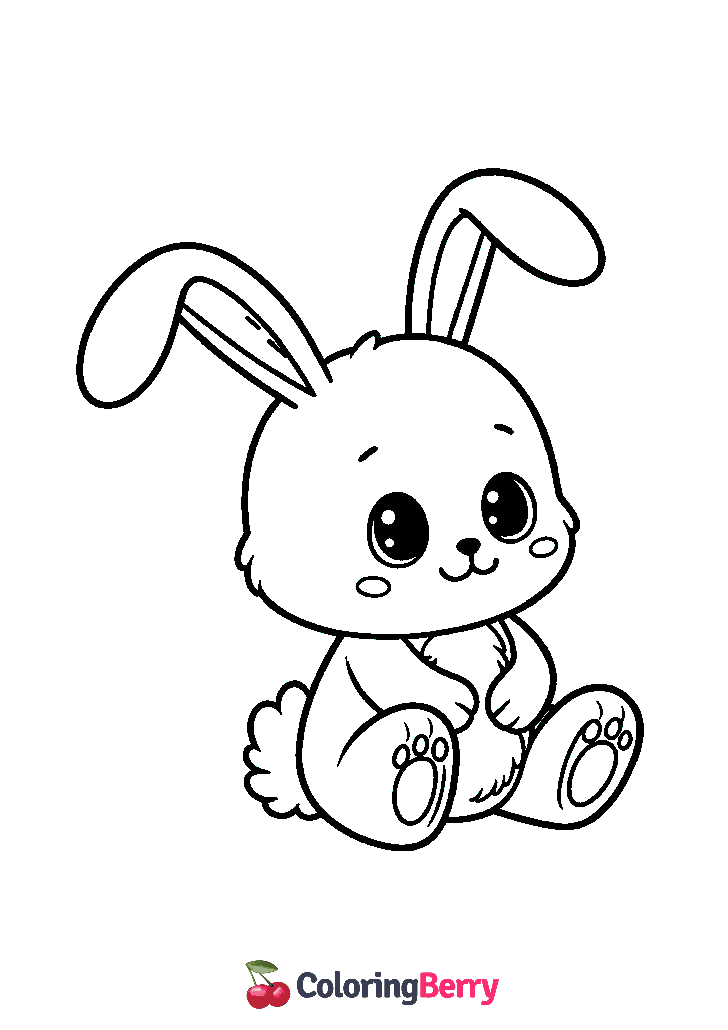 Cute Rabbit