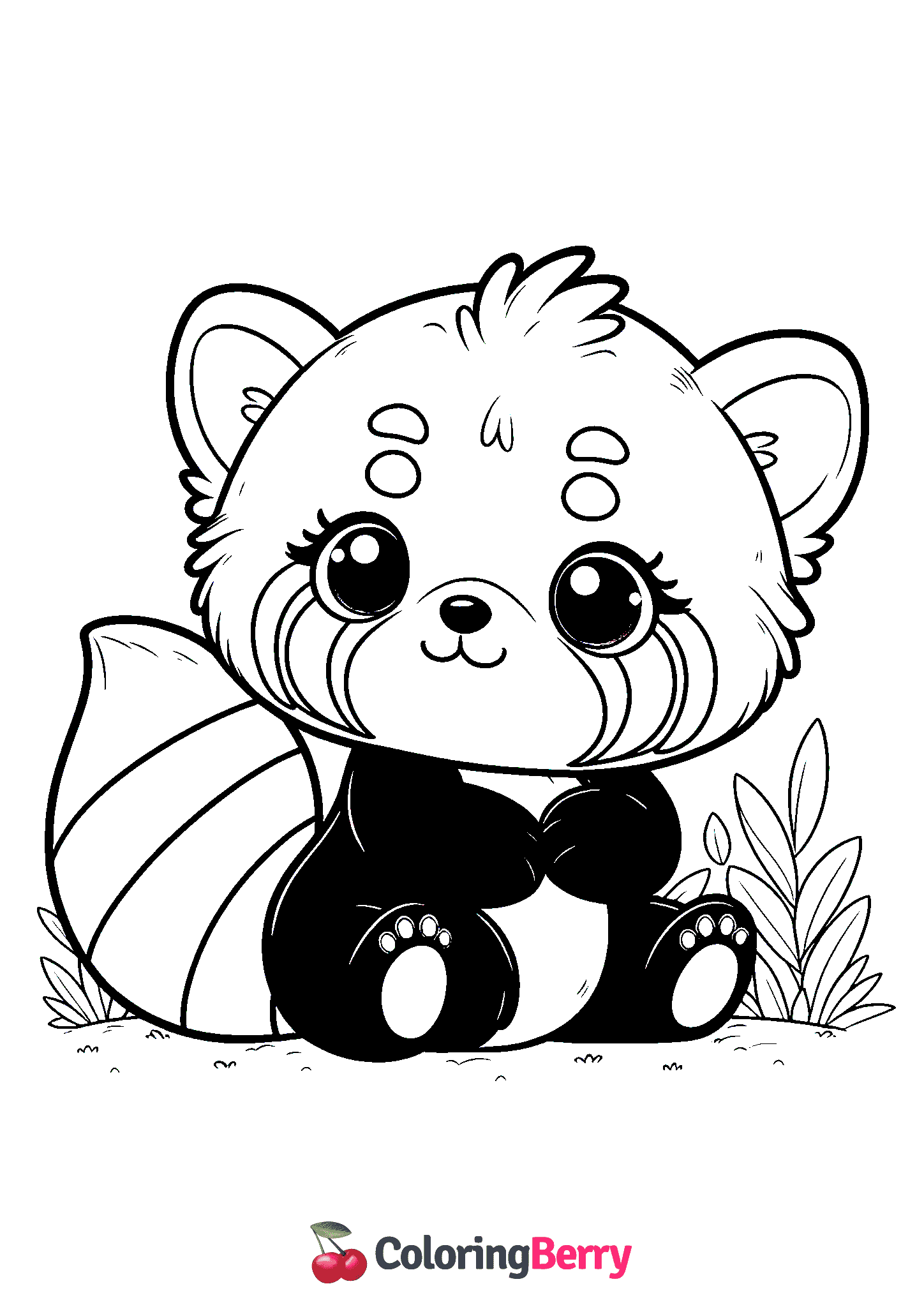 Cute Red Panda