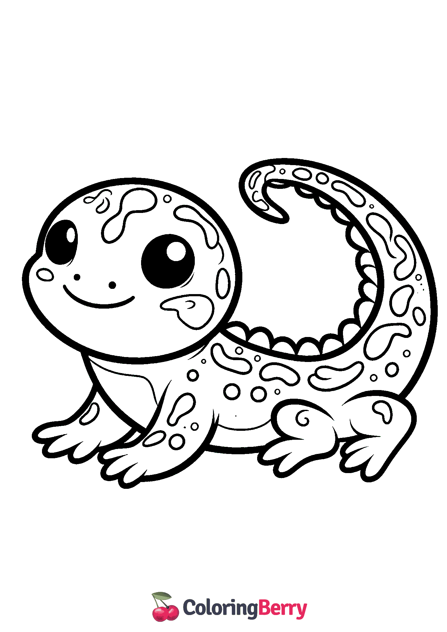 Cute Salamander