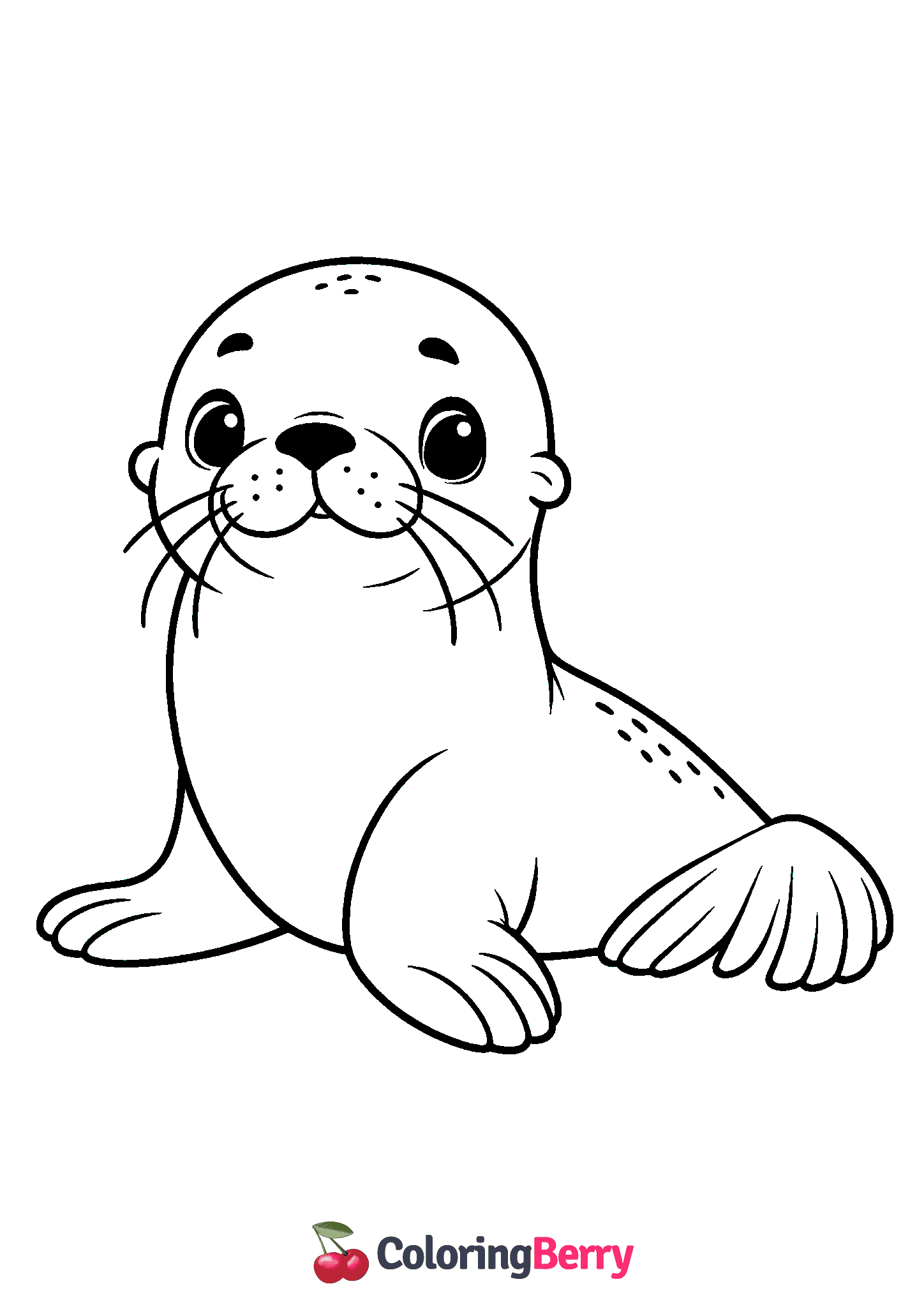 Cute Sea Lion