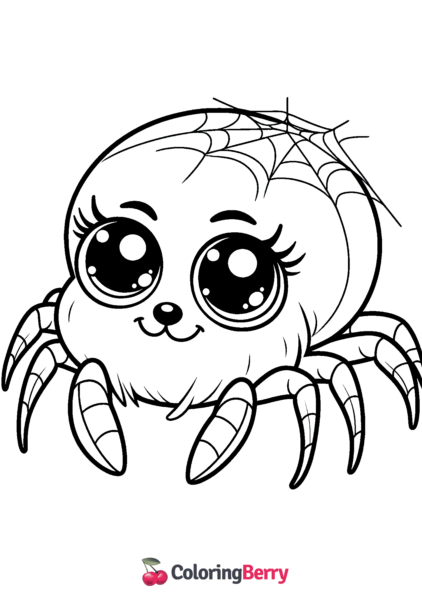 Cute Spider