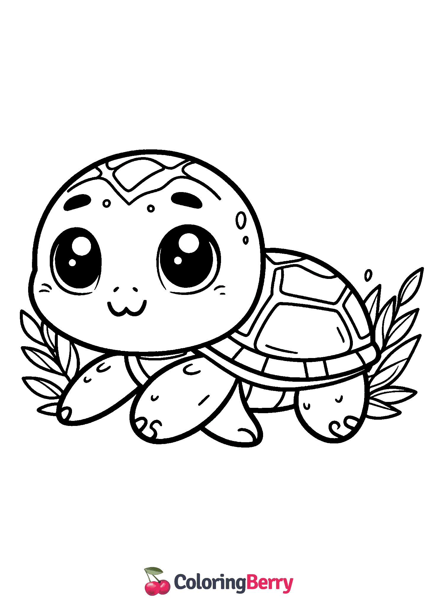 Cute Turtle