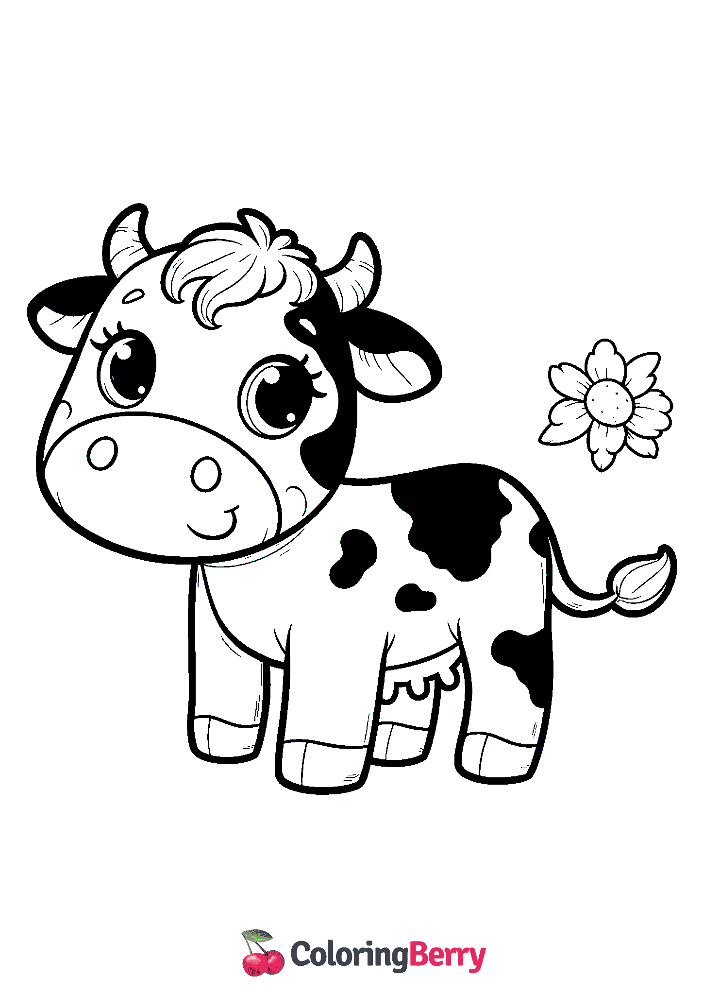 Dairy Cow
