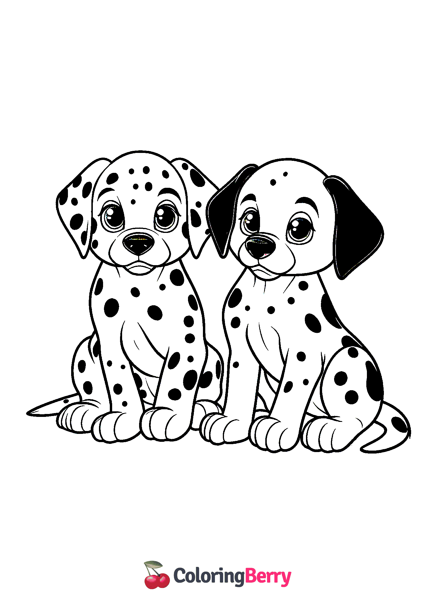 Dalmatian Puppies